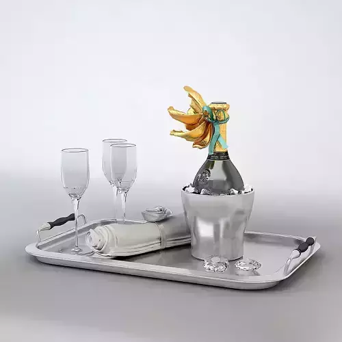 Service Silver Tray Champagne