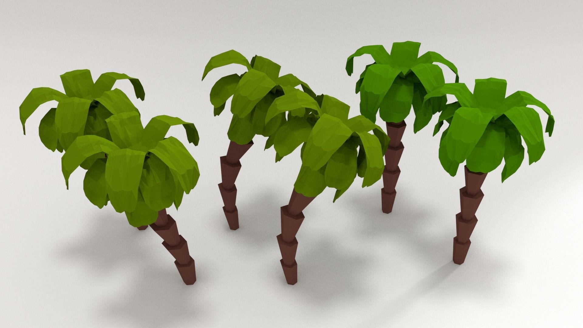 palm tree Low-poly 3D model_10