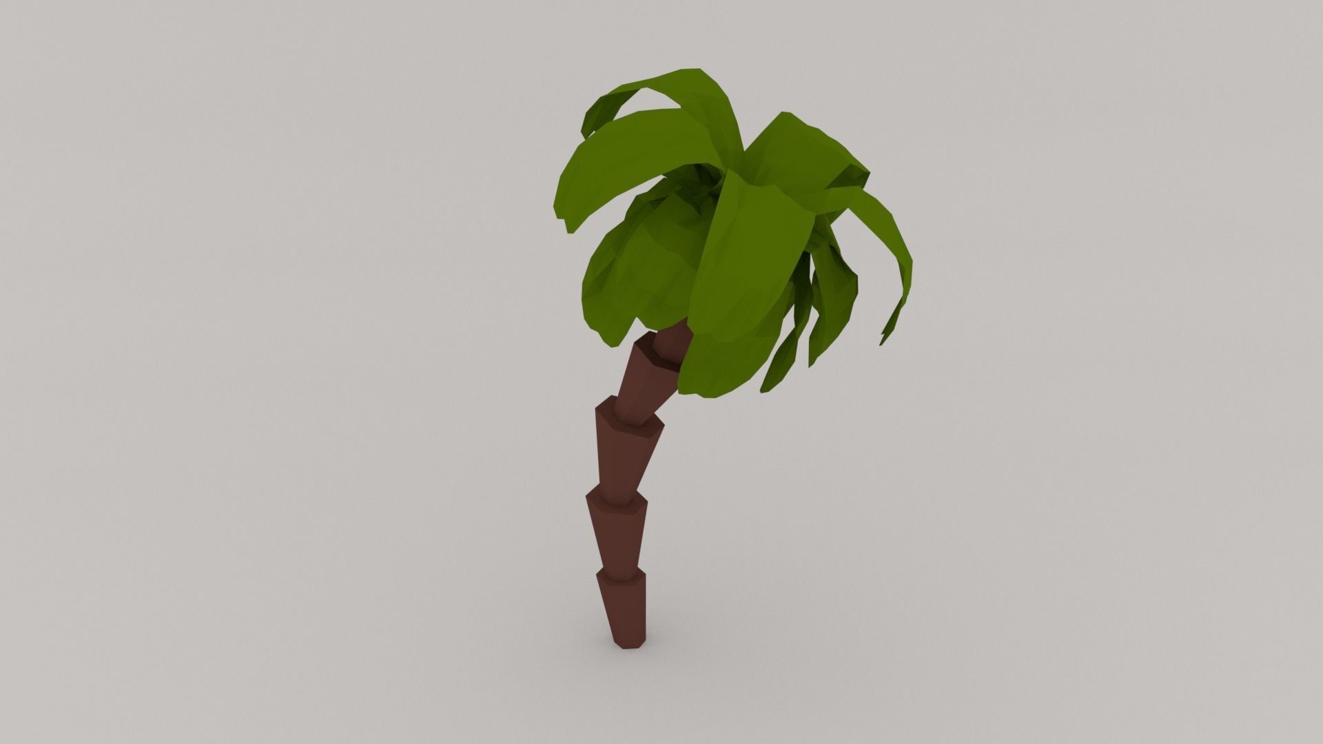 palm tree Low-poly 3D model_6