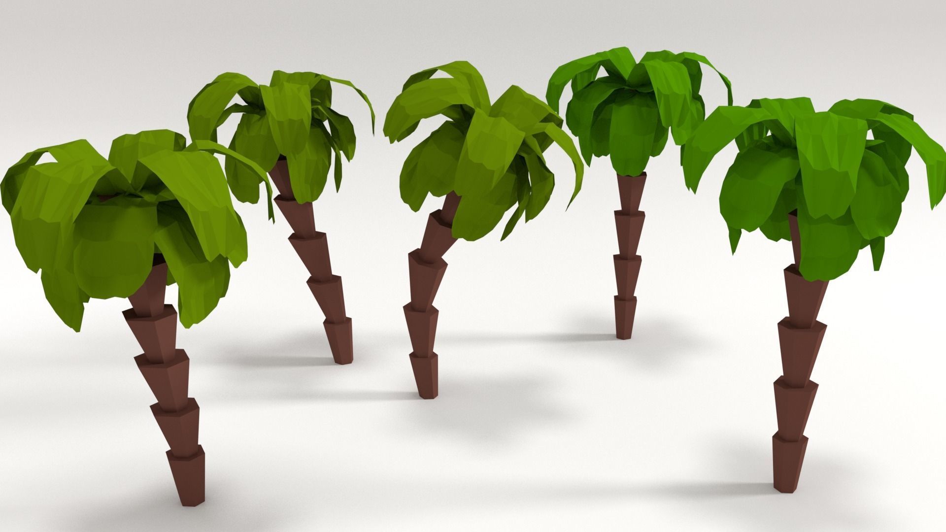 palm tree Low-poly 3D model_9