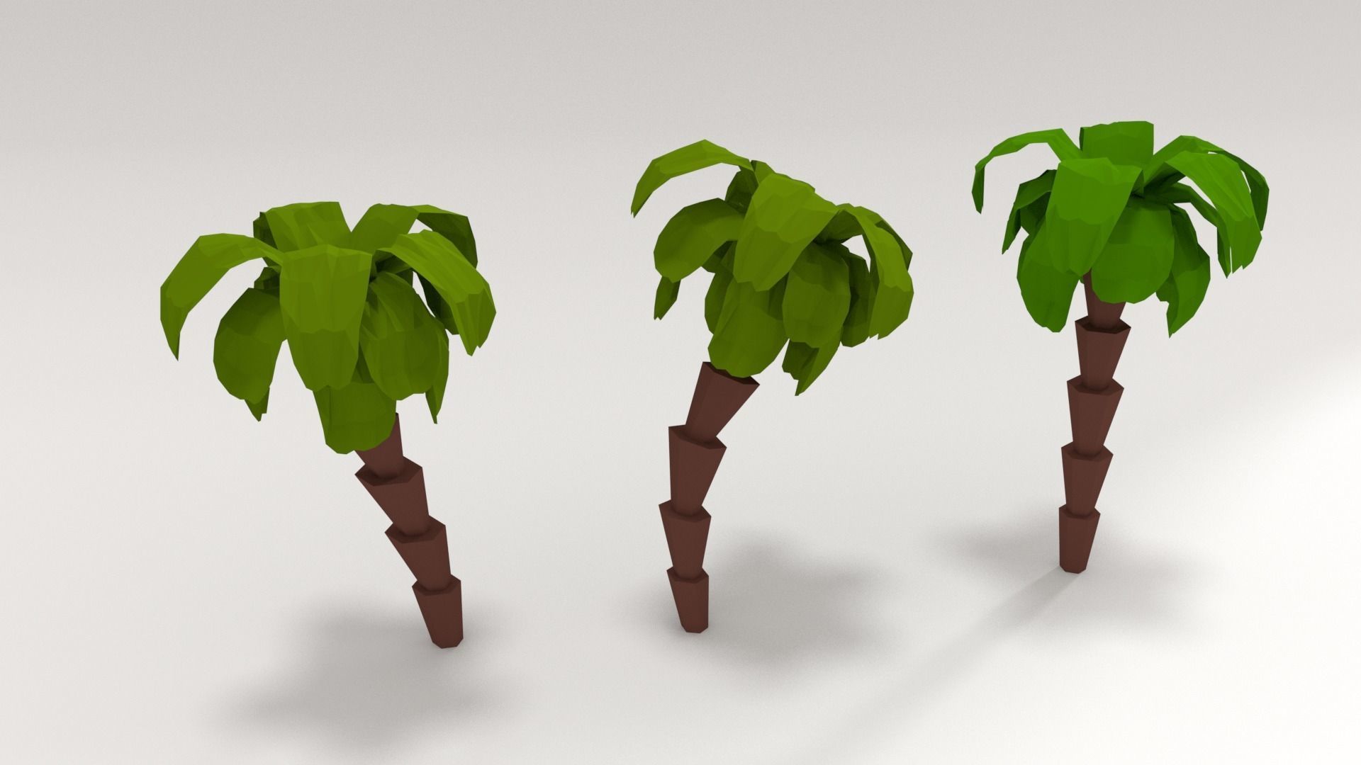 palm tree Low-poly 3D model_3