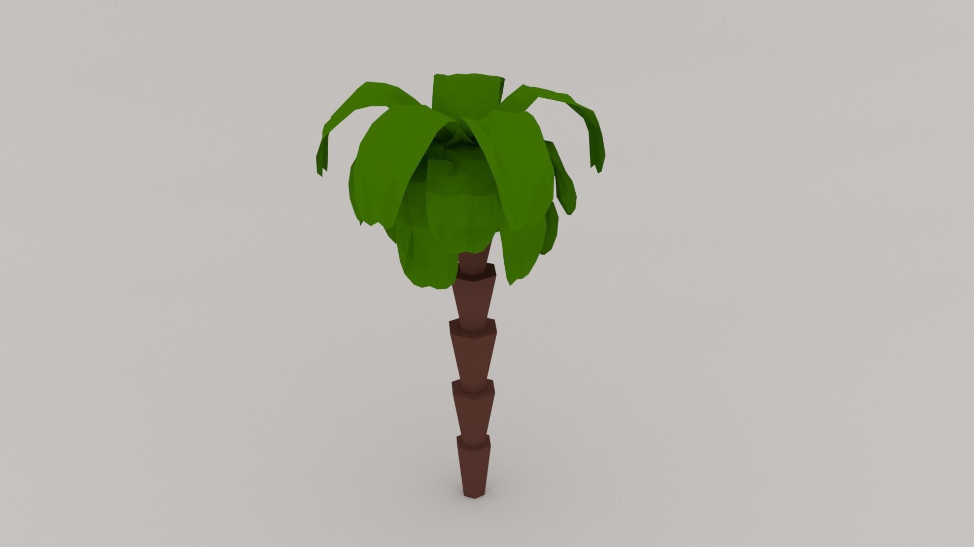 palm tree Low-poly 3D model_8