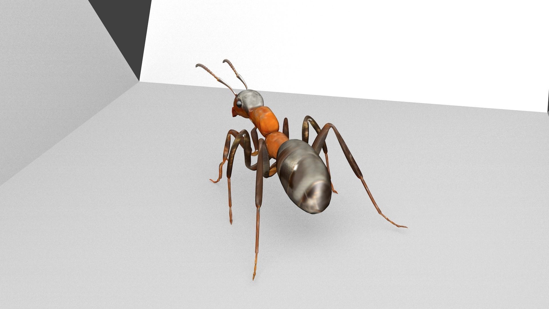 Ant 3D Model Animated and Rigged Low-poly 3D model_2