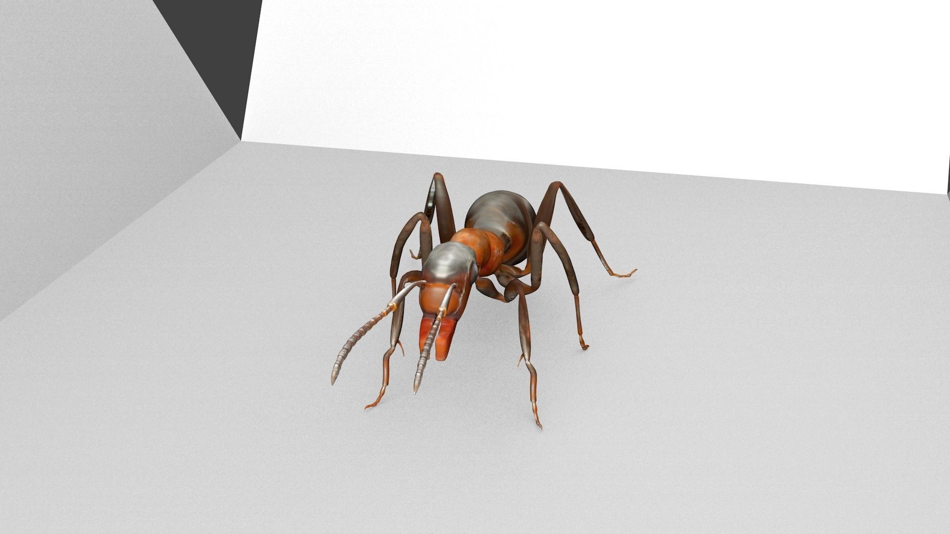 Ant 3D Model Animated and Rigged Low-poly 3D model_3