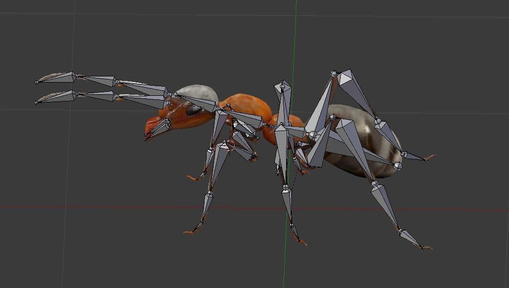Ant 3D Model Animated and Rigged Low-poly 3D model_6