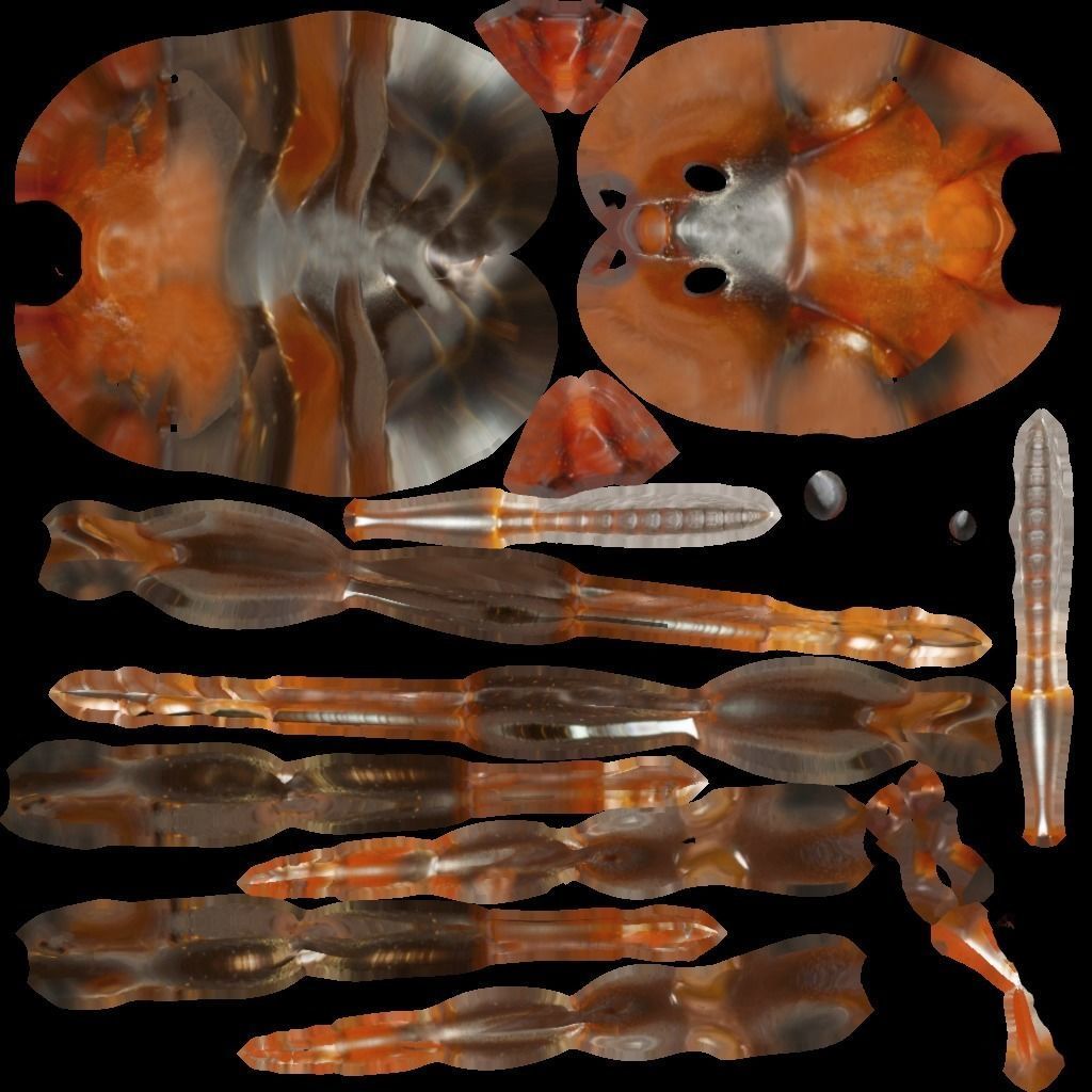 Ant 3D Model Animated and Rigged Low-poly 3D model_9