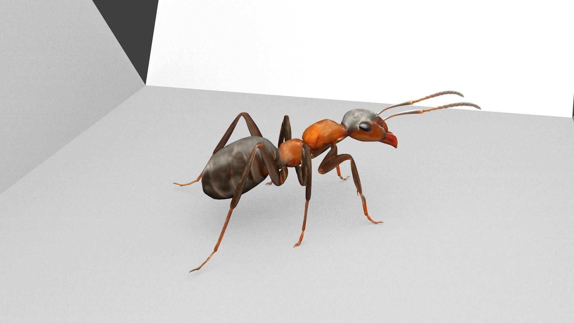 Ant 3D Model Animated and Rigged Low-poly 3D model_1