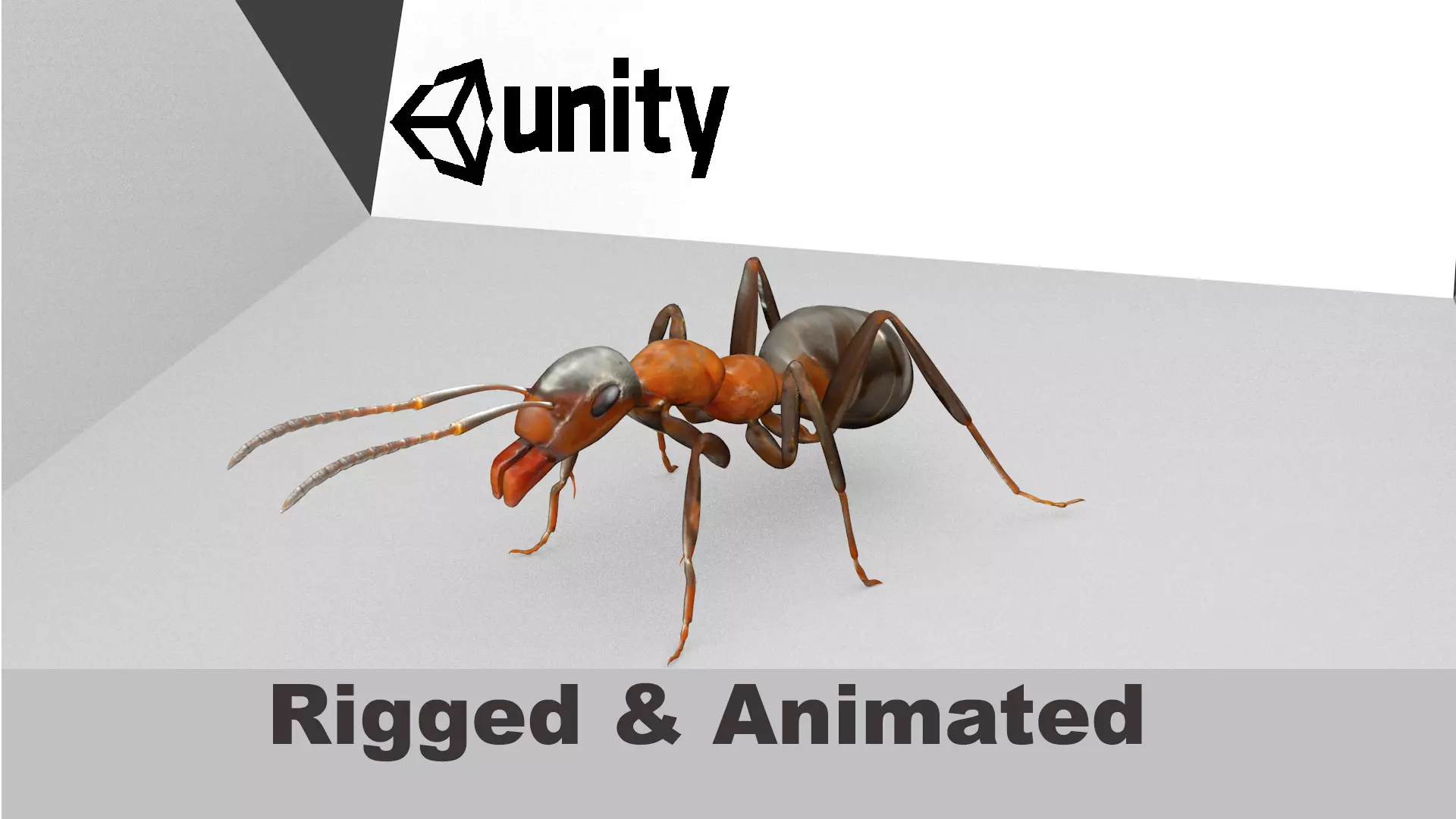 Ant 3D Model Animated and Rigged Low-poly 3D model_0