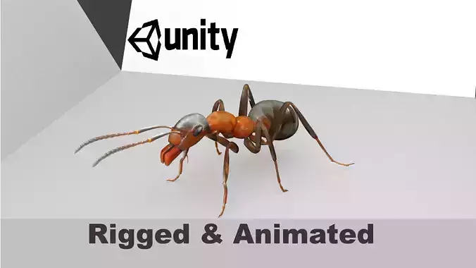 Ant 3D Model Animated and Rigged Low-poly 3D model