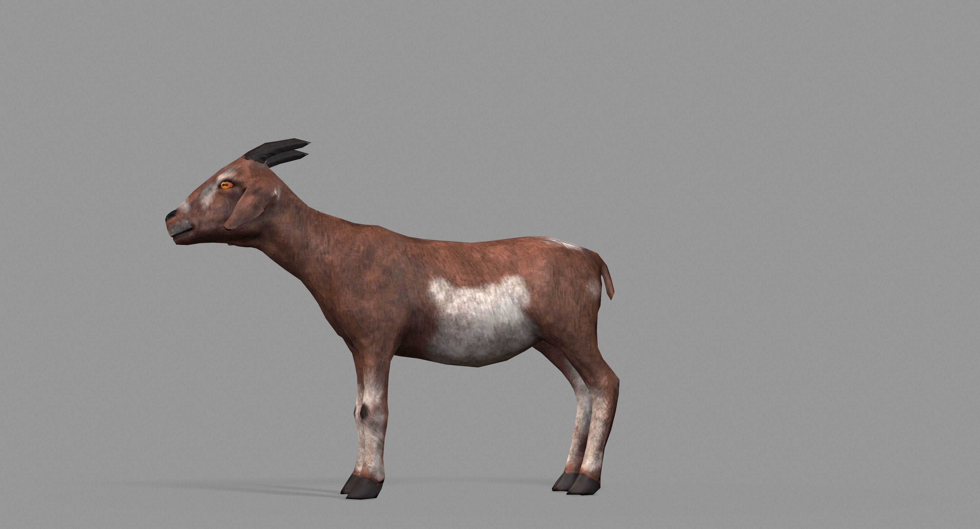 Goat Lowpoly horse Low-poly 3D model_39