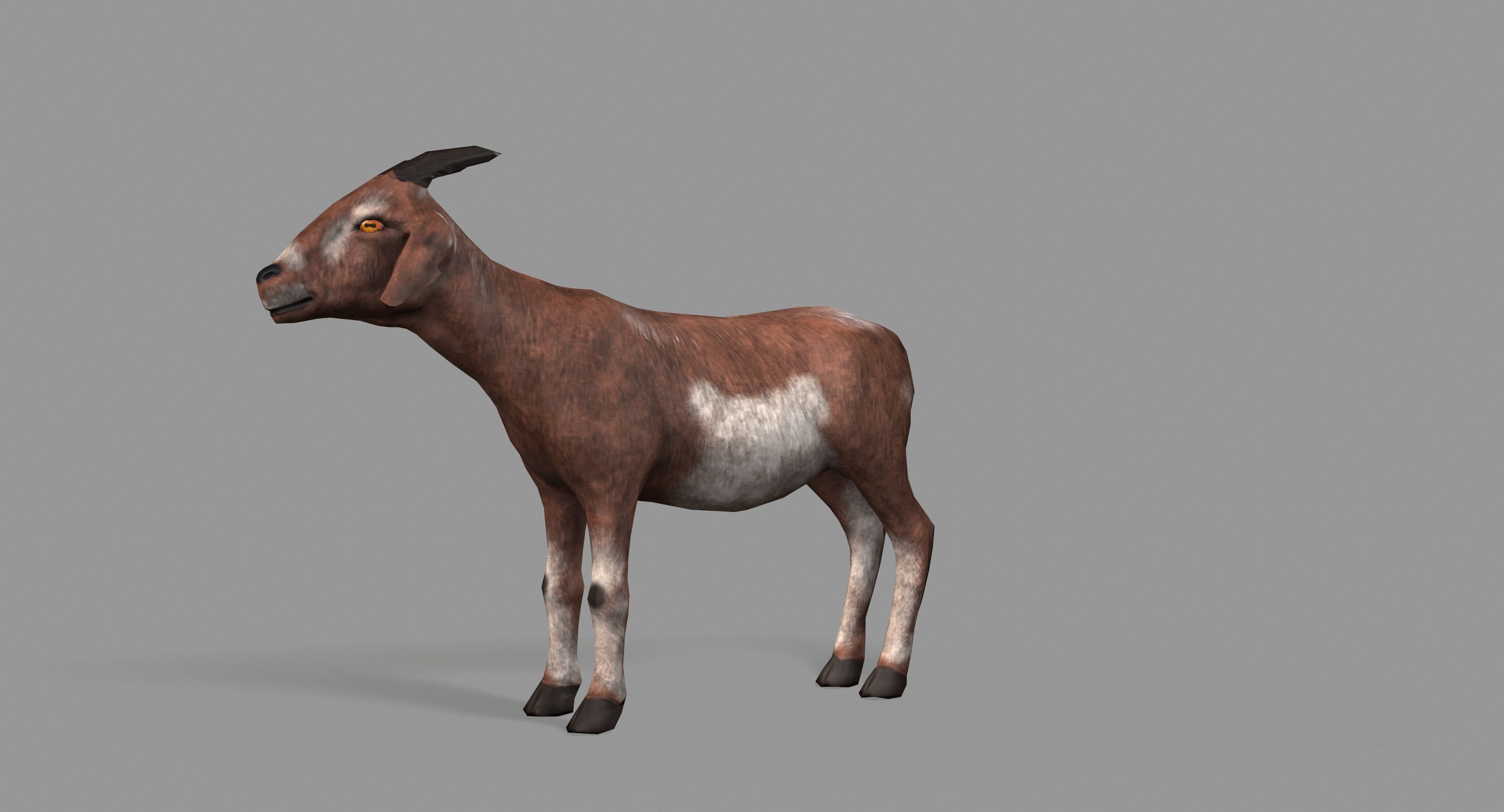 Goat Lowpoly horse Low-poly 3D model_13