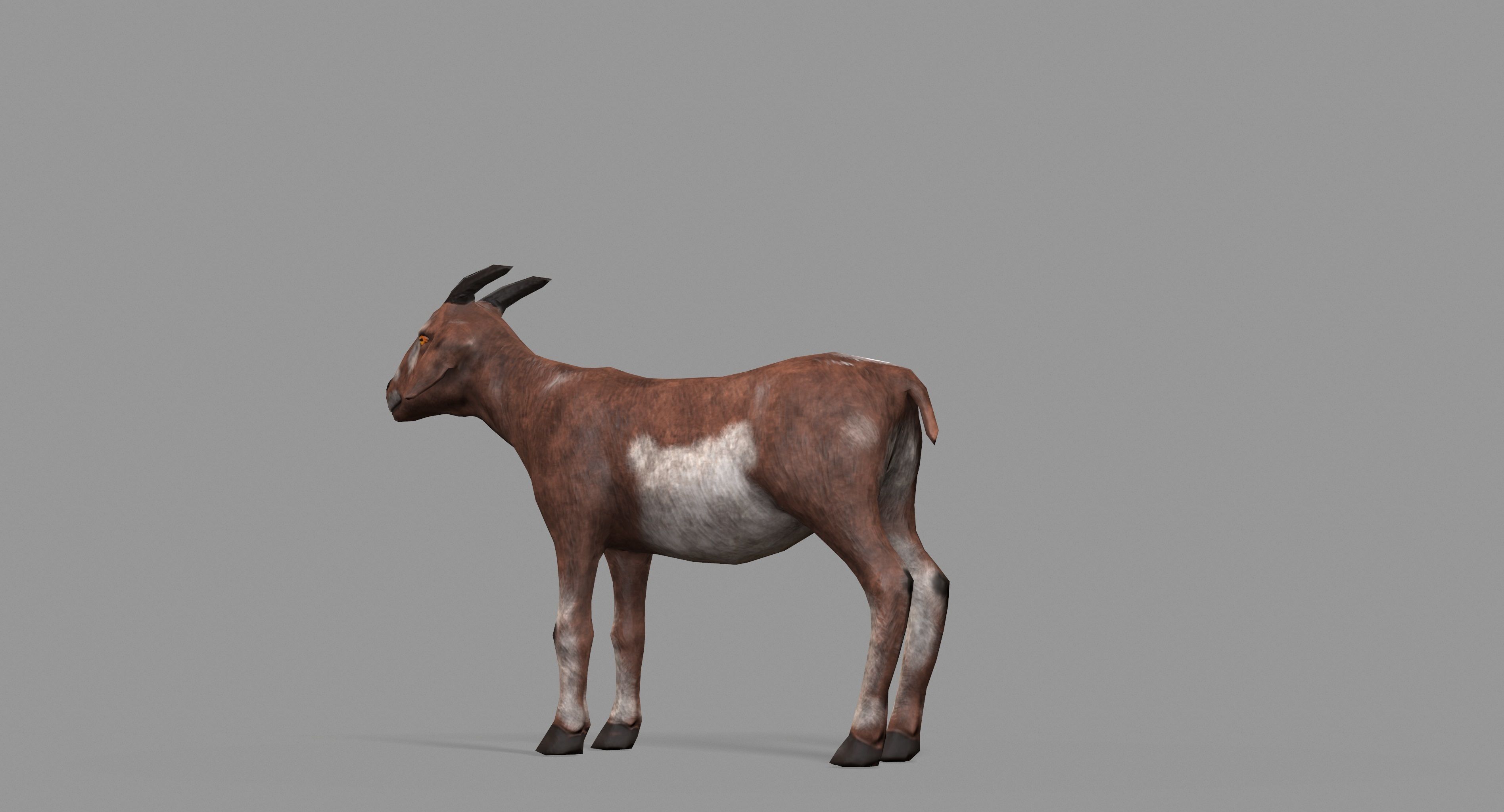 Goat Lowpoly horse Low-poly 3D model_38