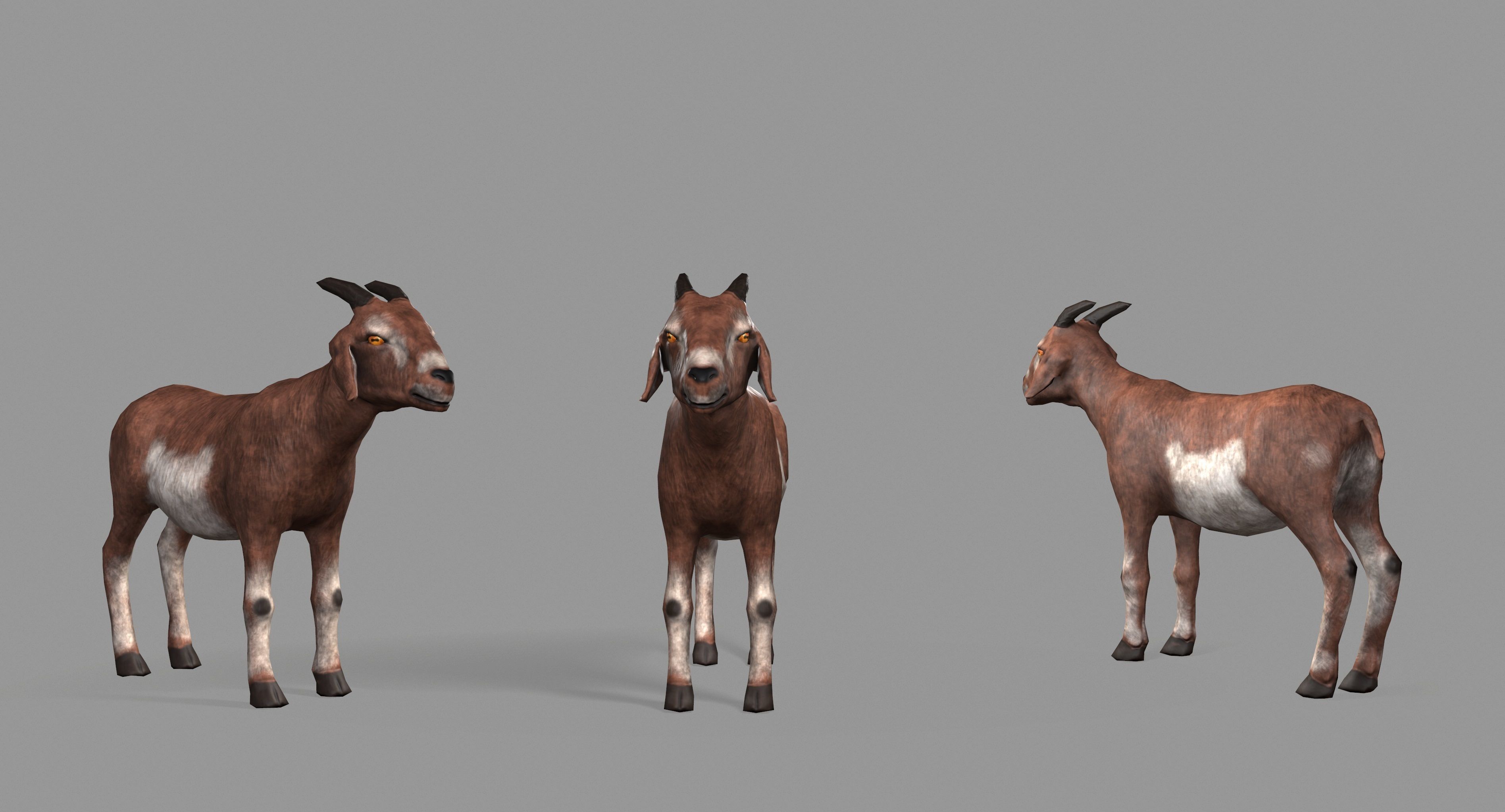 Goat Lowpoly horse Low-poly 3D model_42