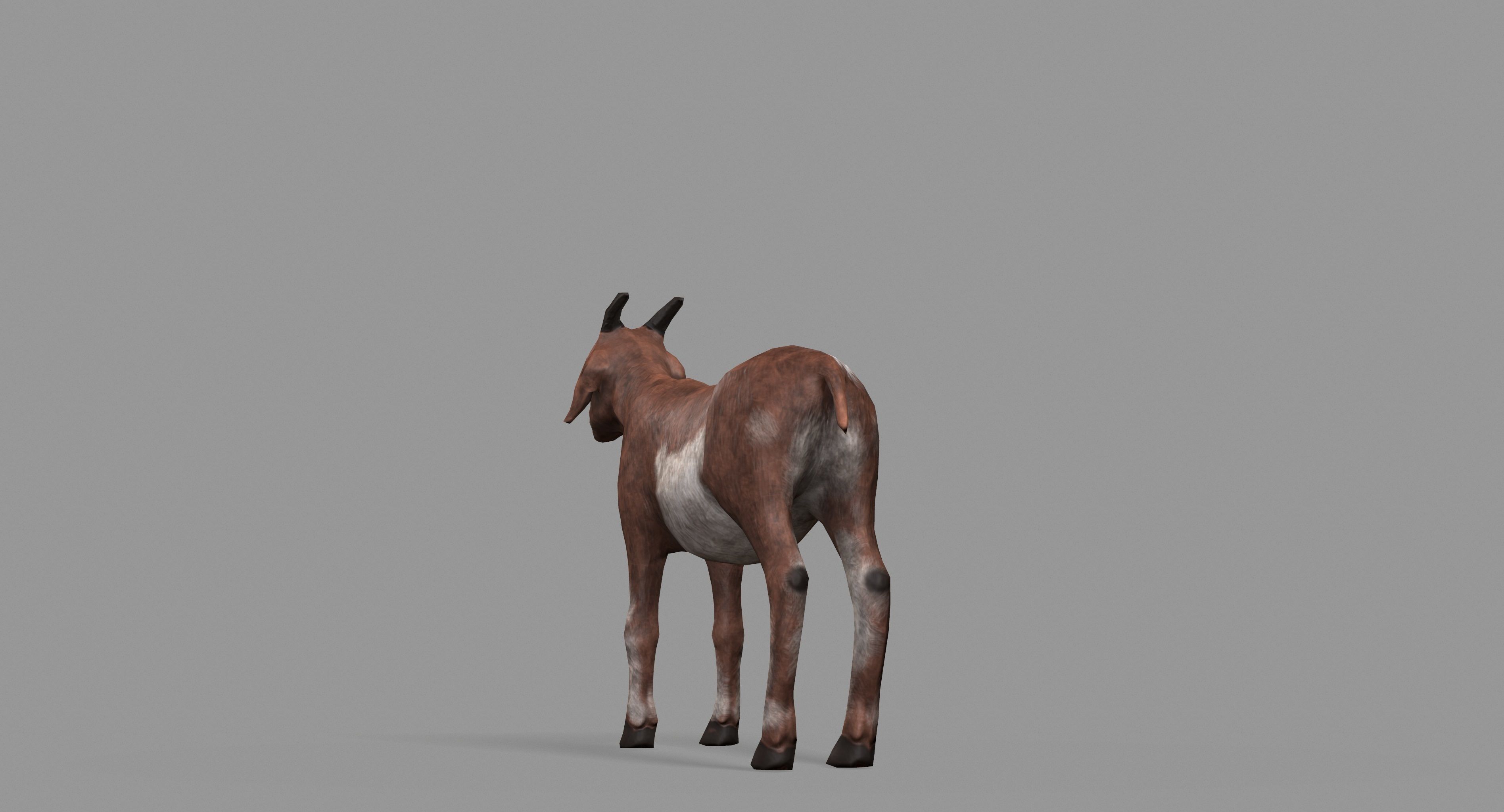 Goat Lowpoly horse Low-poly 3D model_37