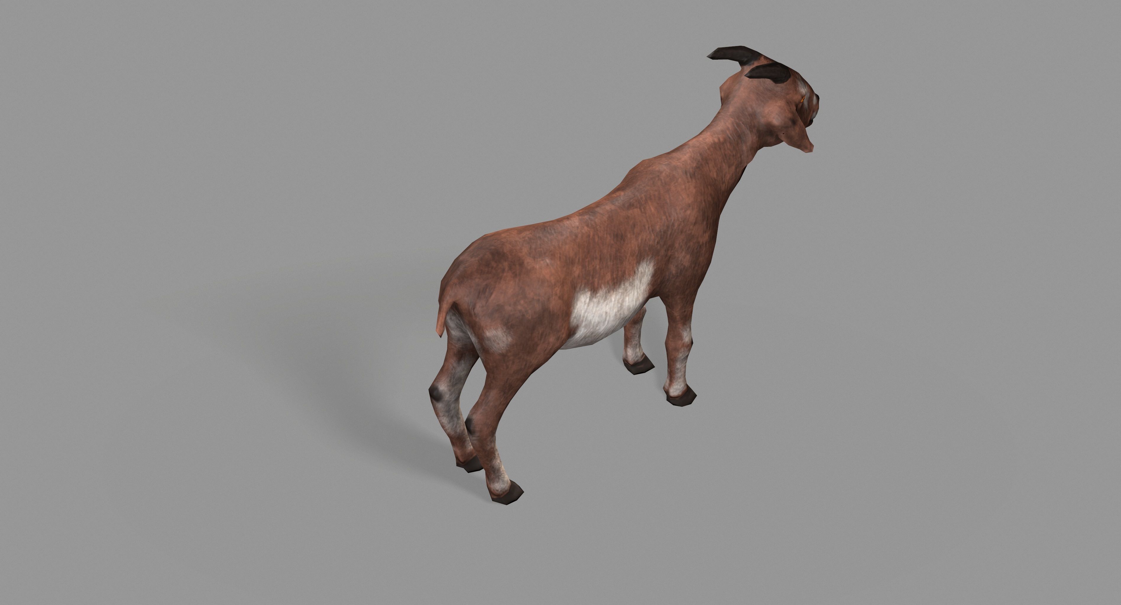 Goat Lowpoly horse Low-poly 3D model_21