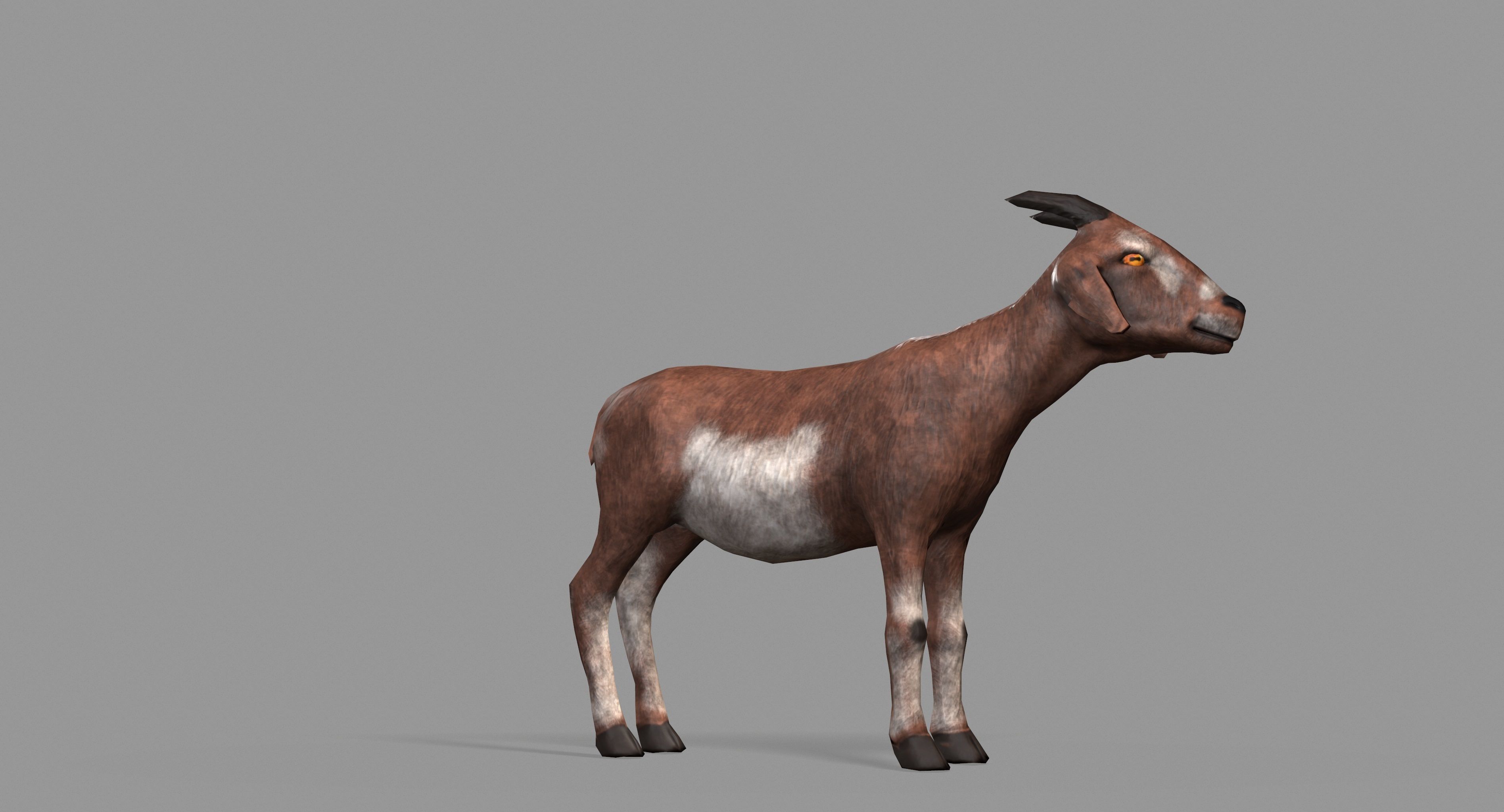 Goat Lowpoly horse Low-poly 3D model_32