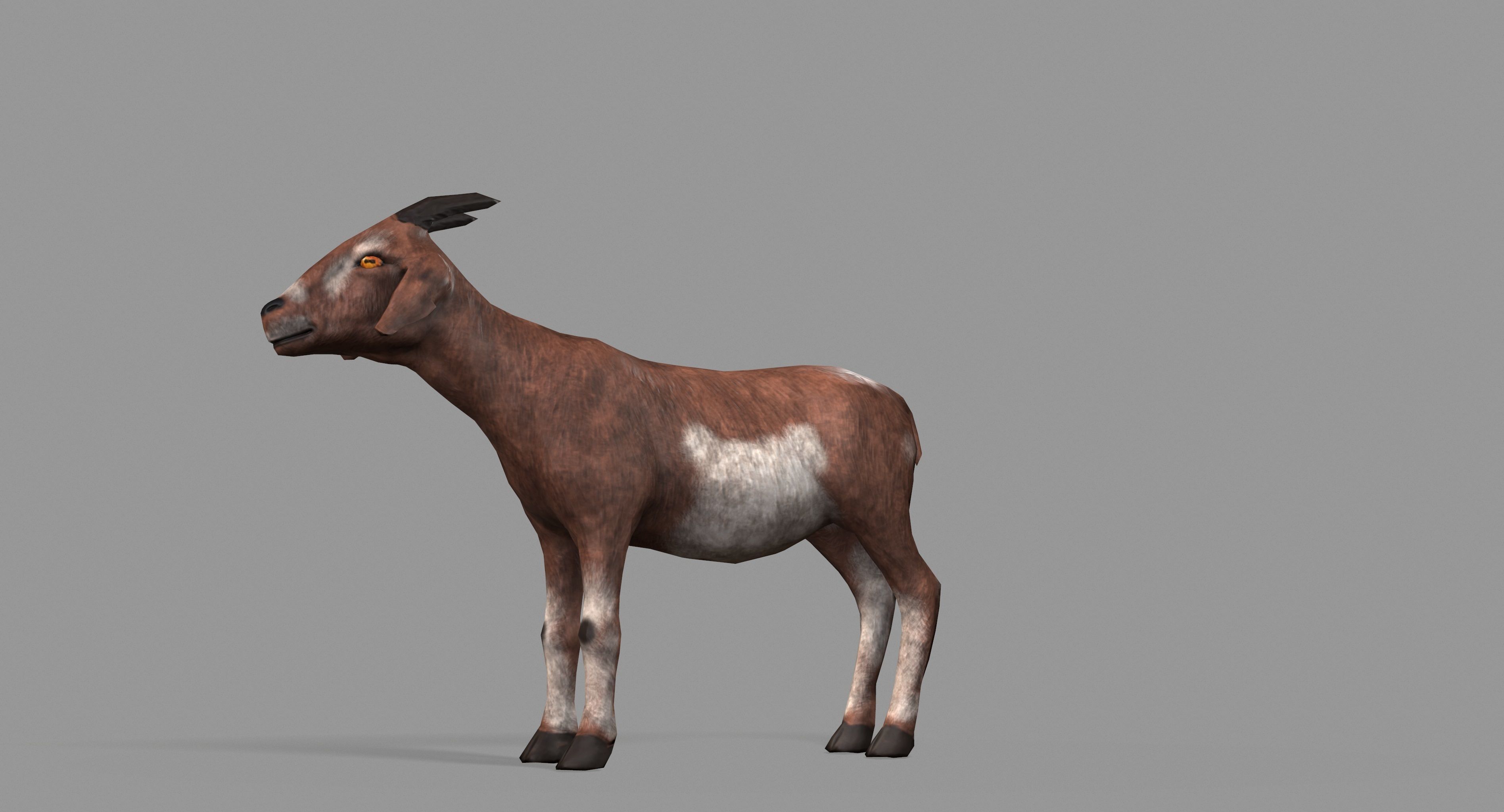 Goat Lowpoly horse Low-poly 3D model_27