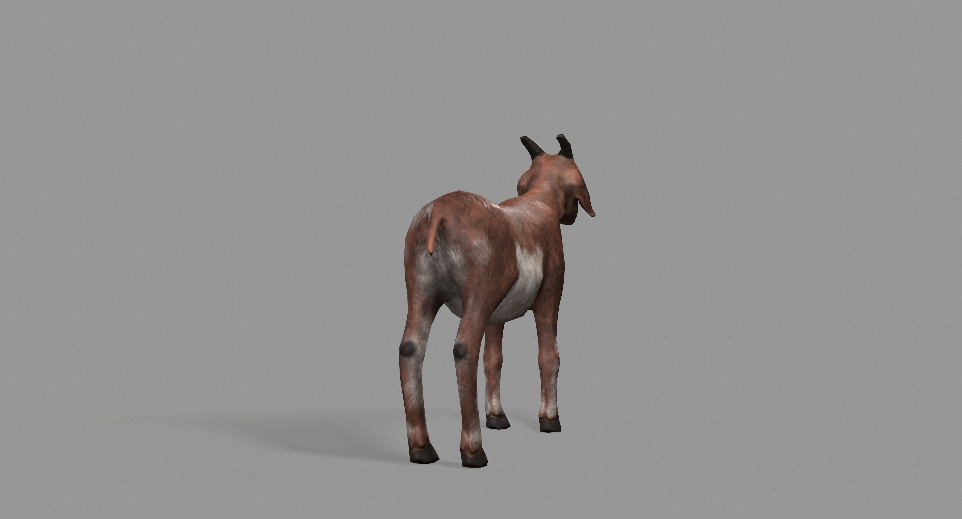 Goat Lowpoly horse Low-poly 3D model_10