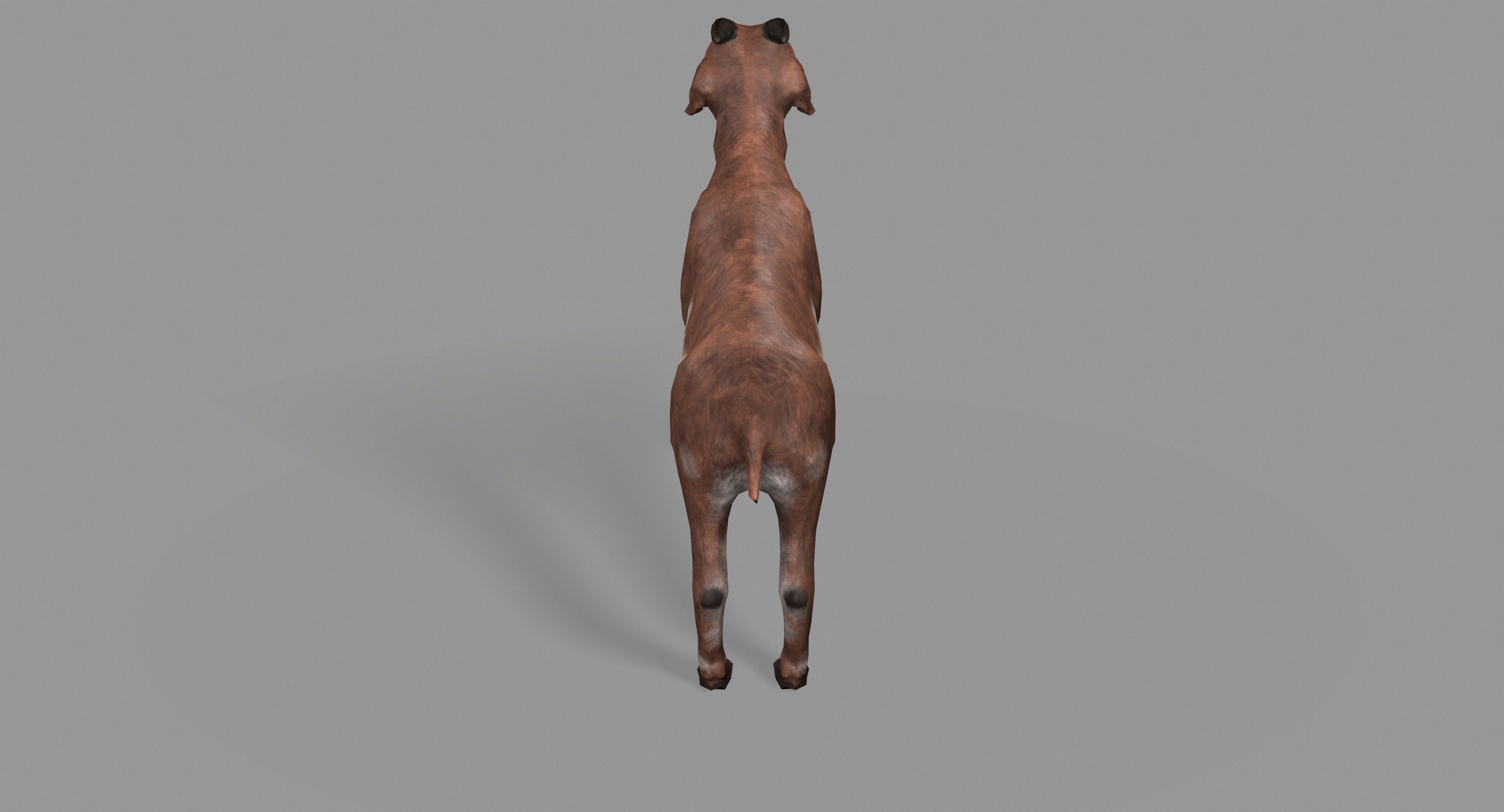 Goat Lowpoly horse Low-poly 3D model_23