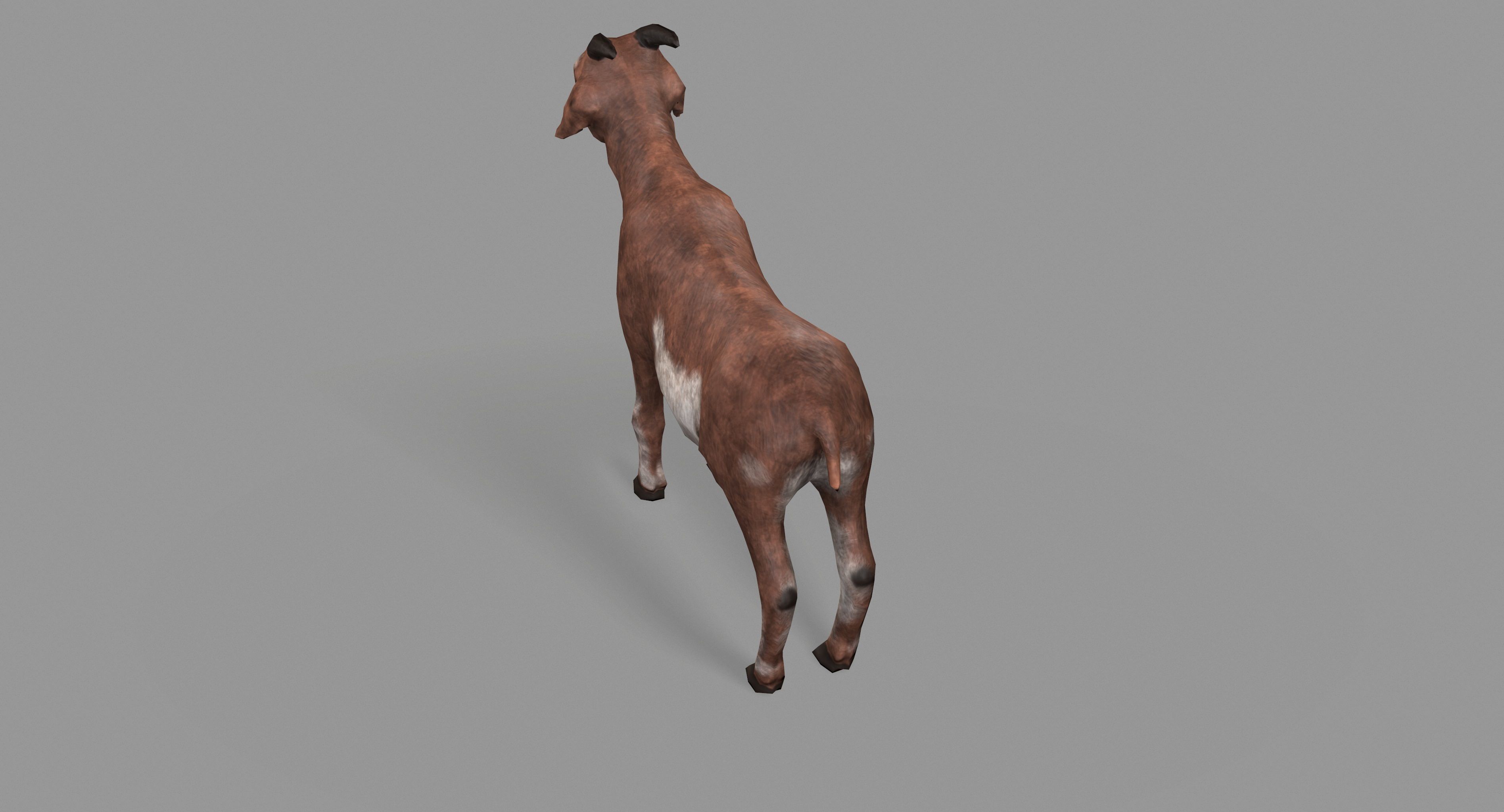 Goat Lowpoly horse Low-poly 3D model_24
