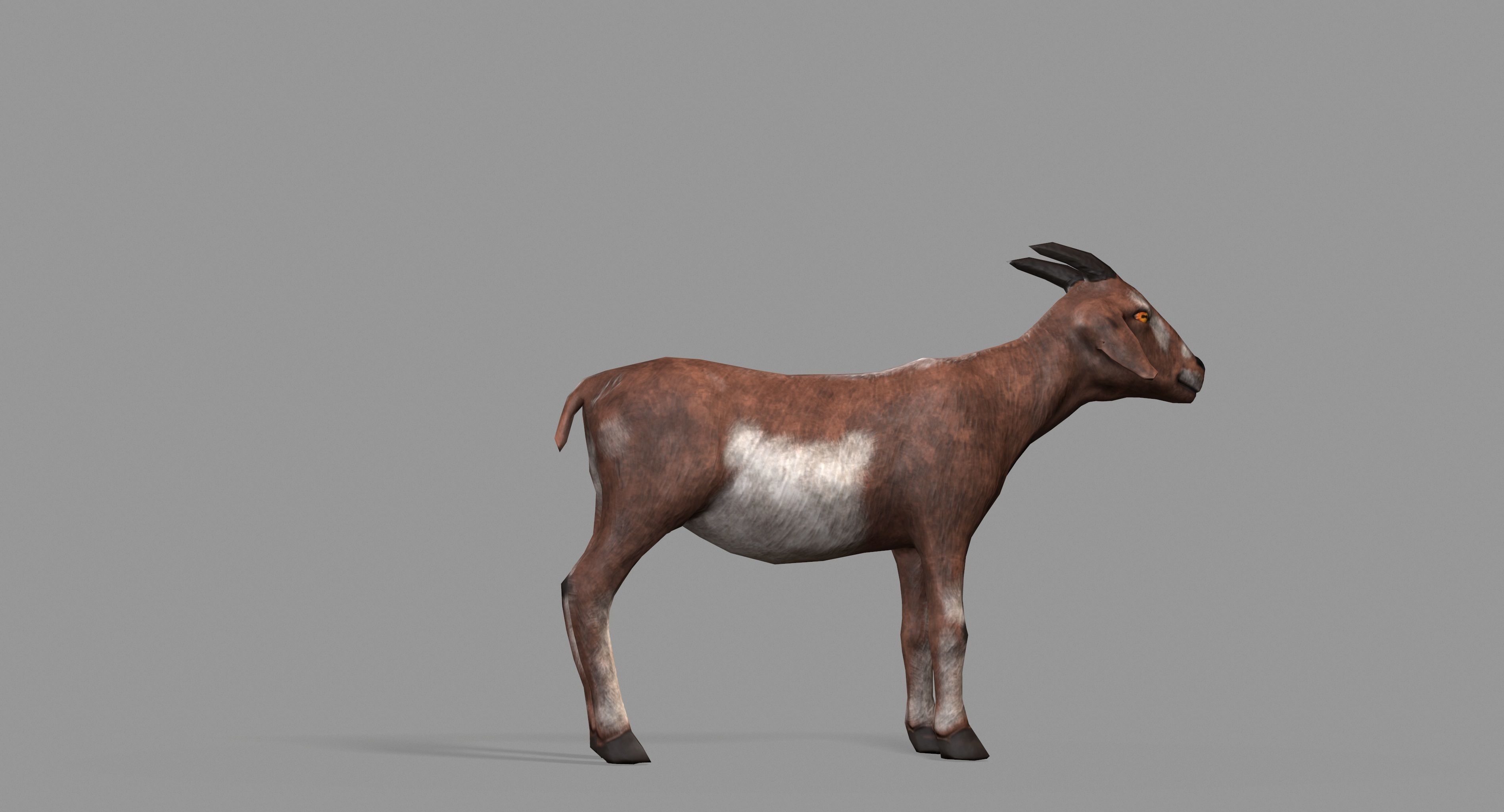 Goat Lowpoly horse Low-poly 3D model_34