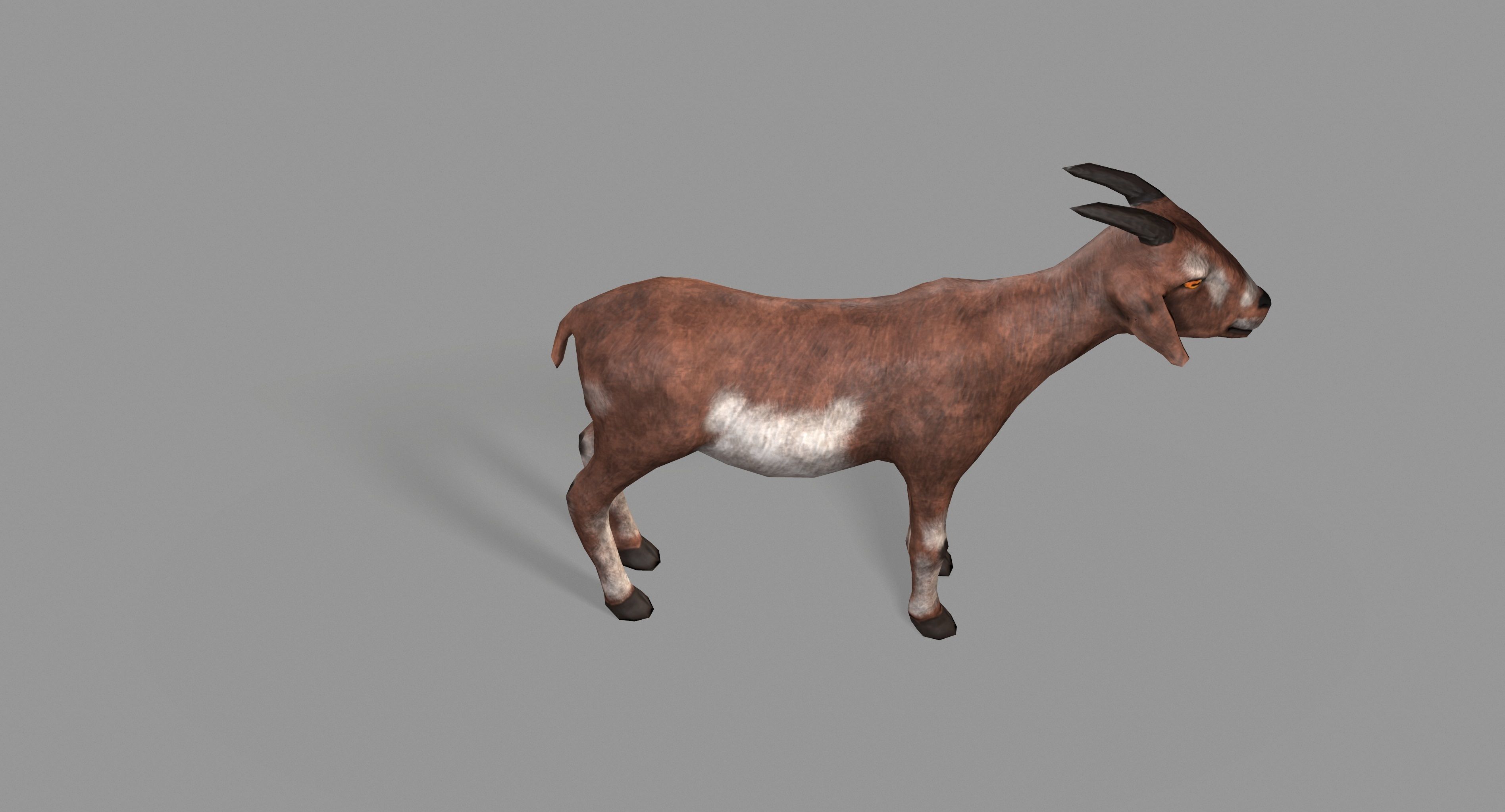 Goat Lowpoly horse Low-poly 3D model_20
