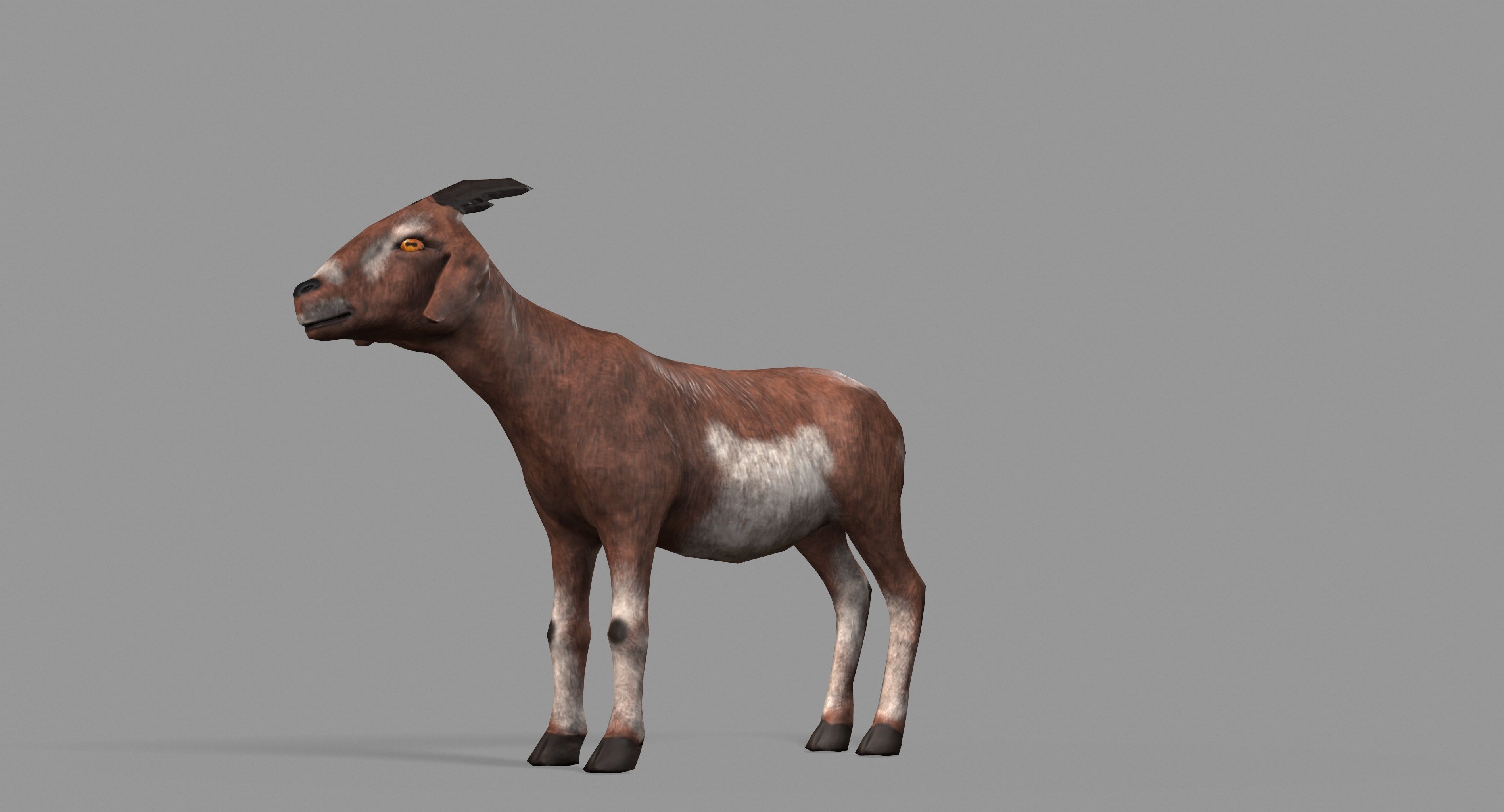 Goat Lowpoly horse Low-poly 3D model_40