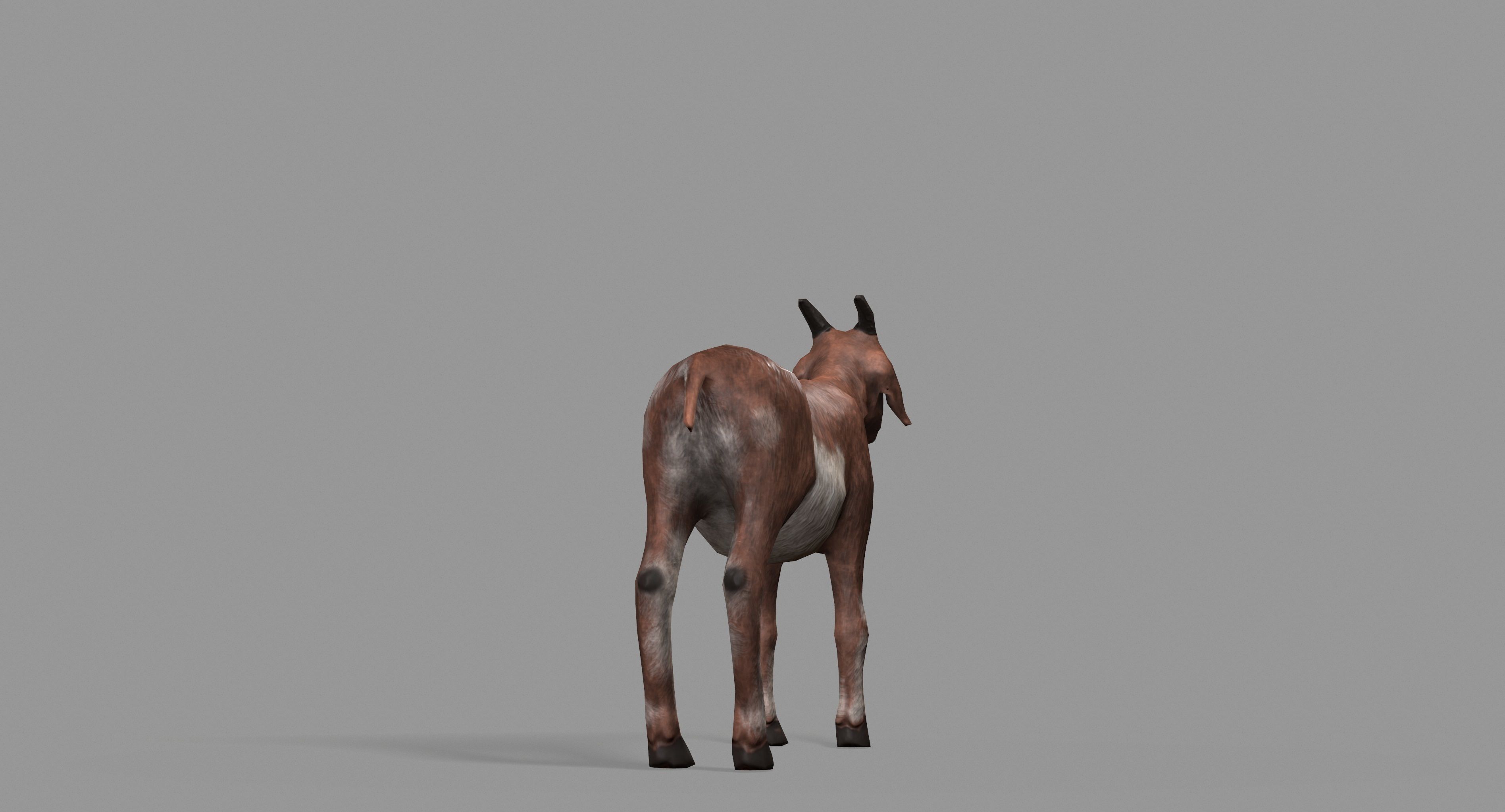 Goat Lowpoly horse Low-poly 3D model_36