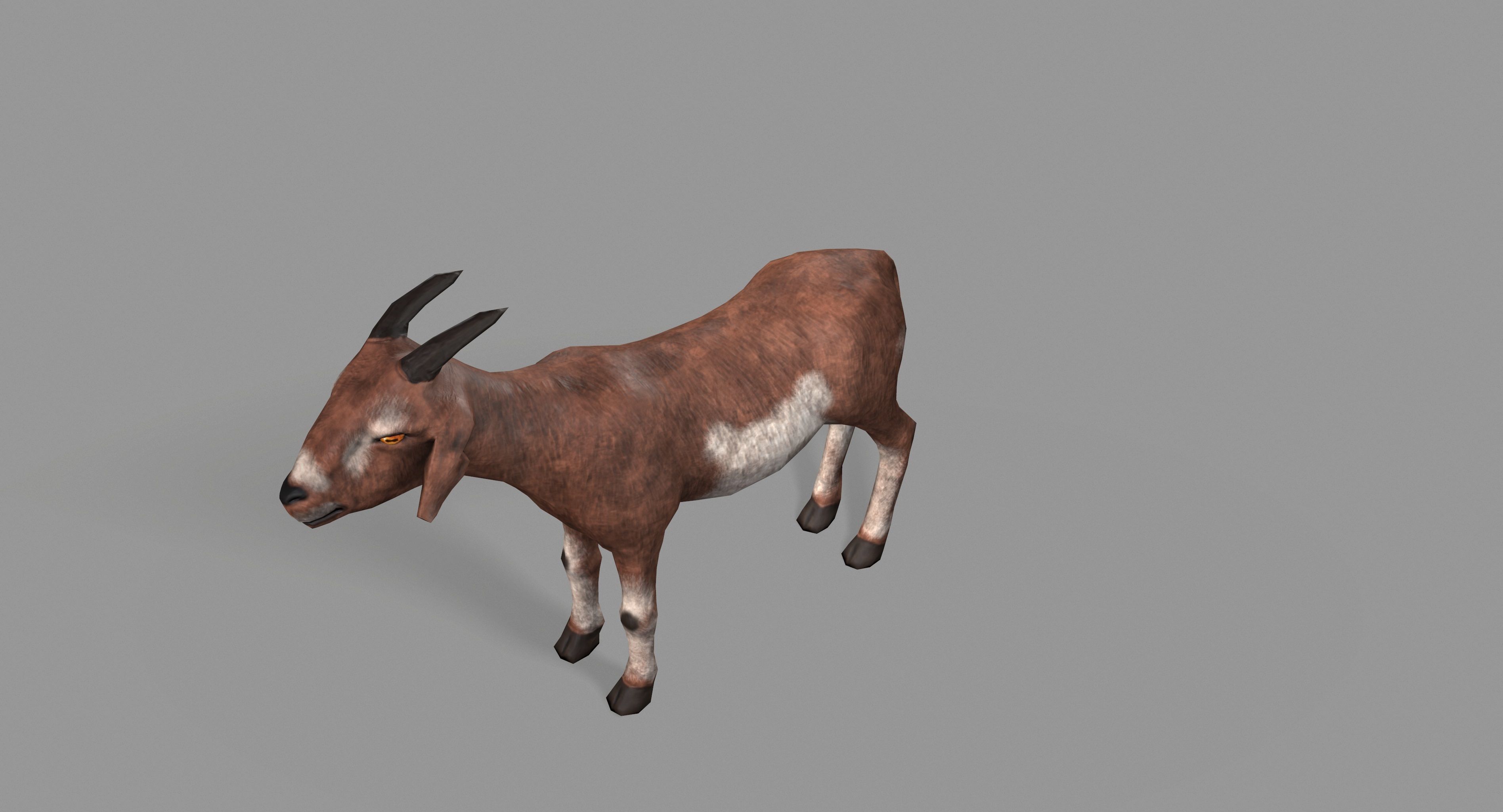 Goat Lowpoly horse Low-poly 3D model_17