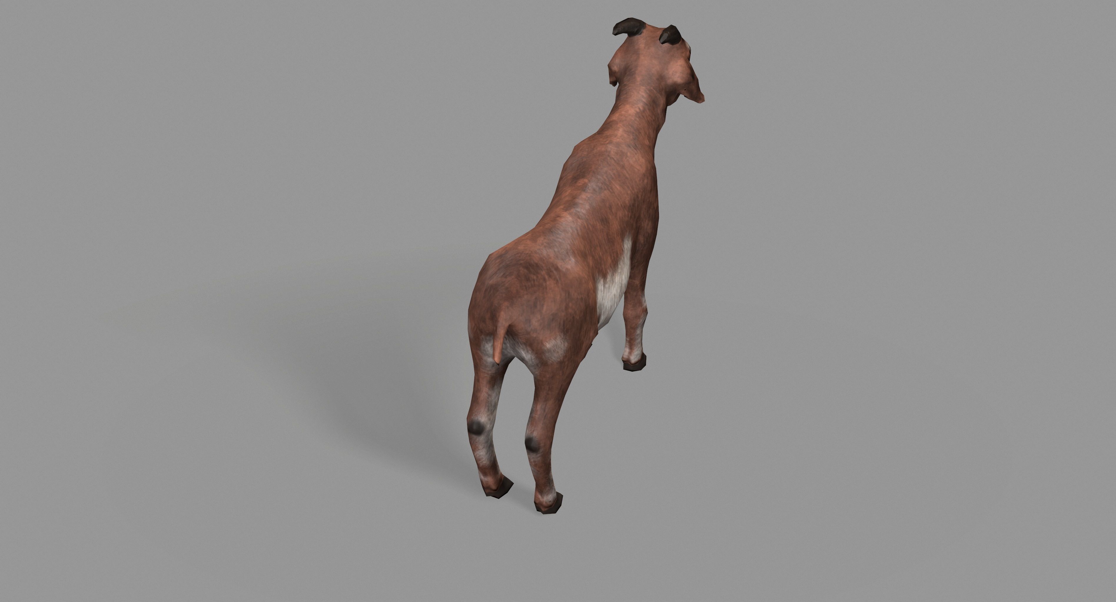 Goat Lowpoly horse Low-poly 3D model_22