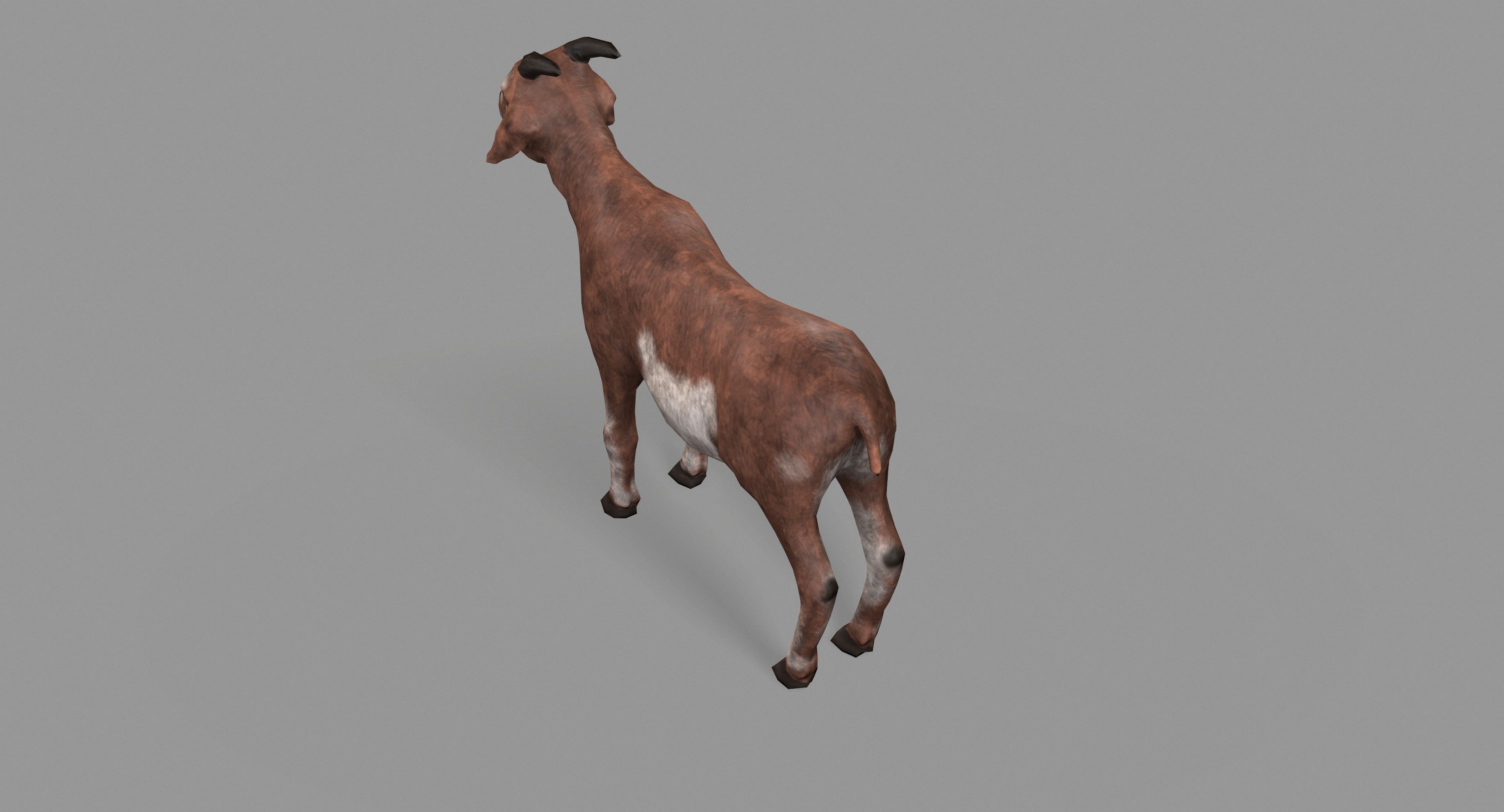Goat Lowpoly horse Low-poly 3D model_25