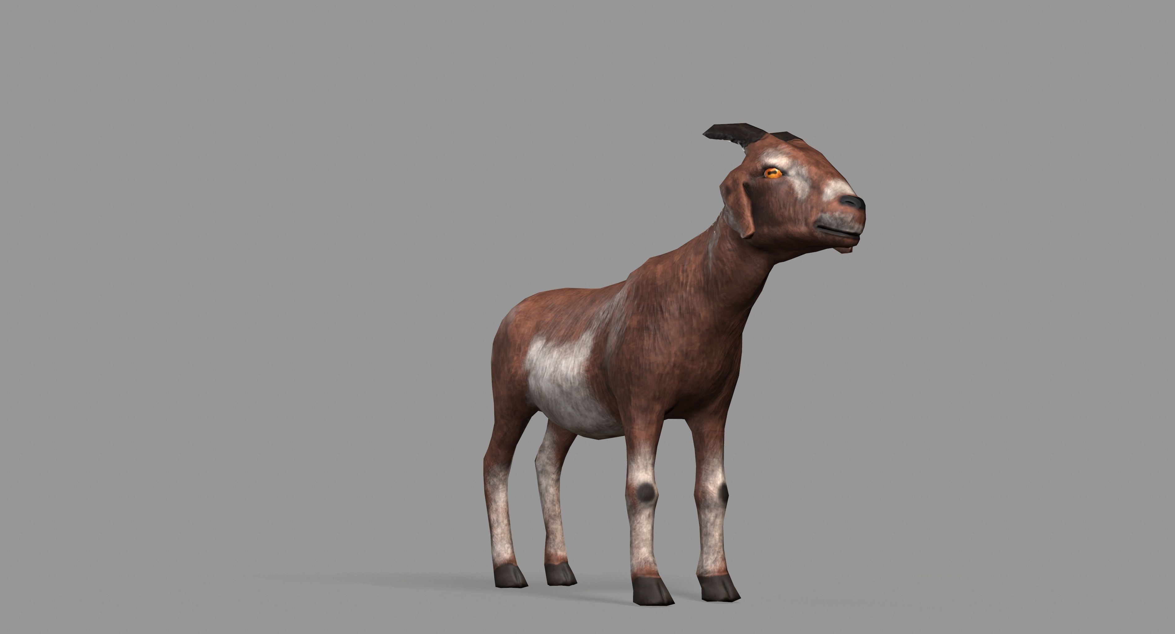Goat Lowpoly horse Low-poly 3D model_33