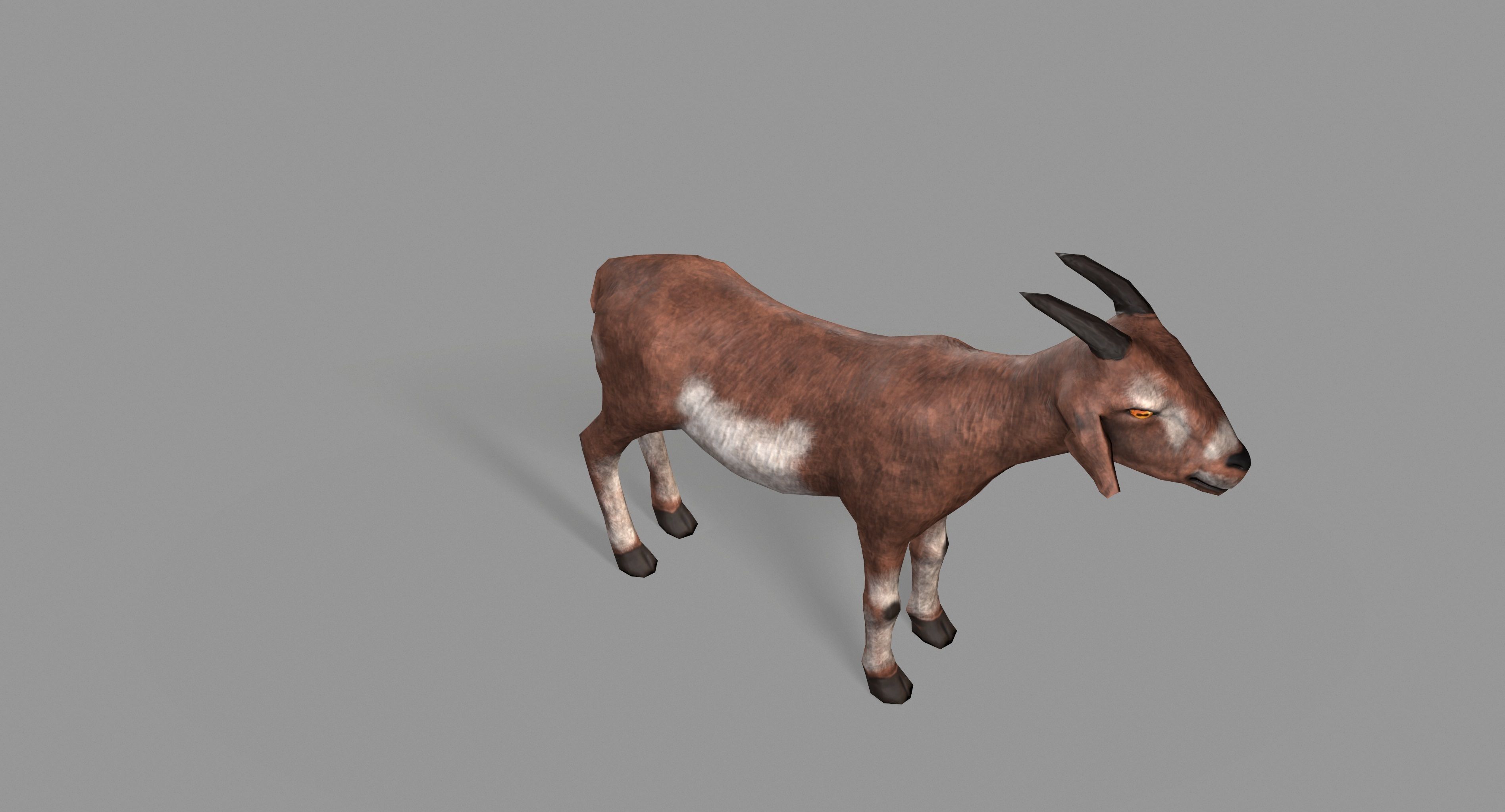 Goat Lowpoly horse Low-poly 3D model_19