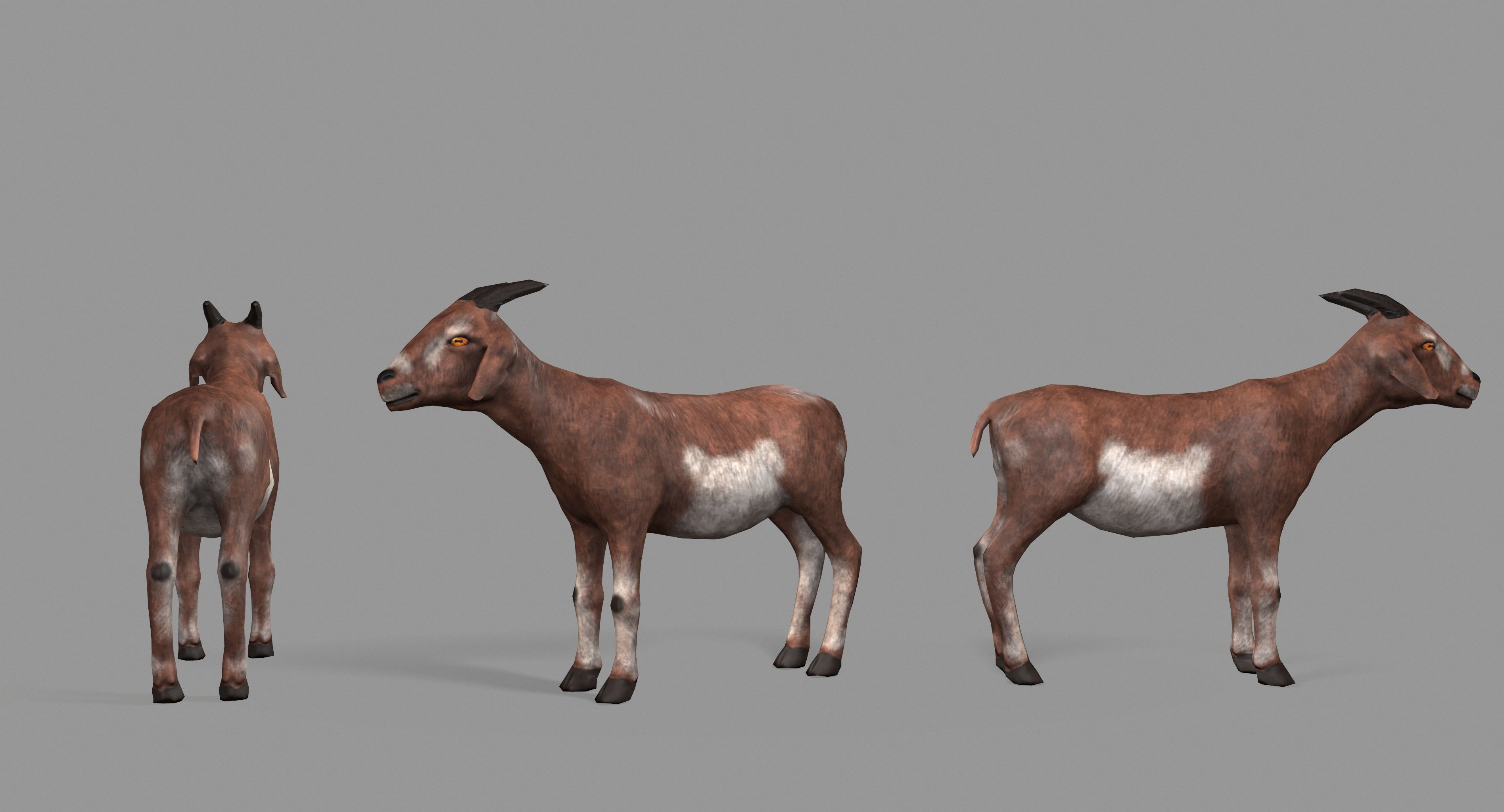 Goat Lowpoly horse Low-poly 3D model_41
