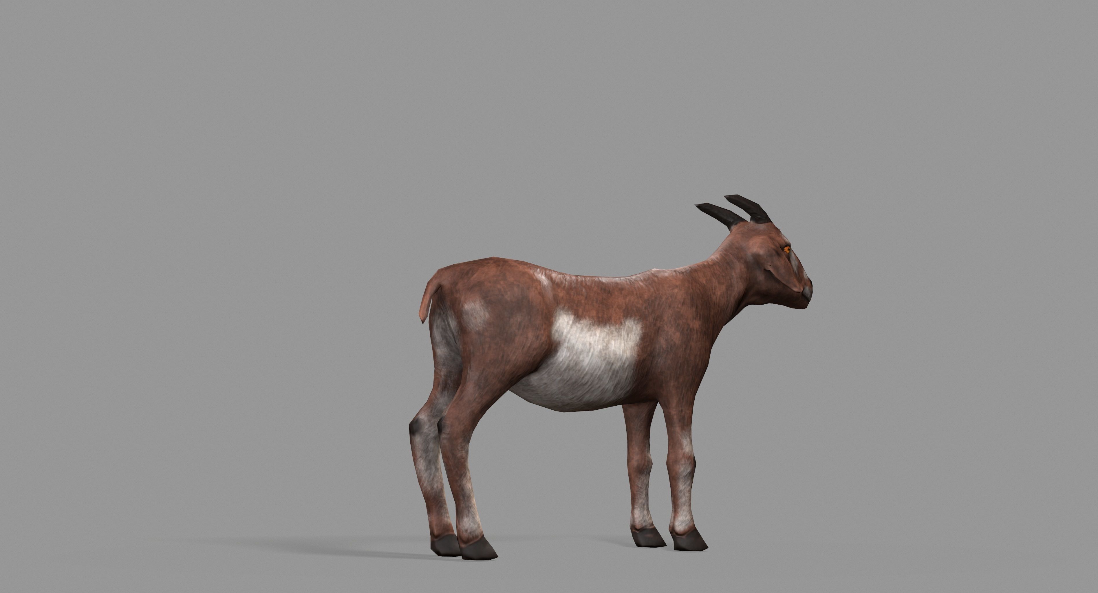 Goat Lowpoly horse Low-poly 3D model_35