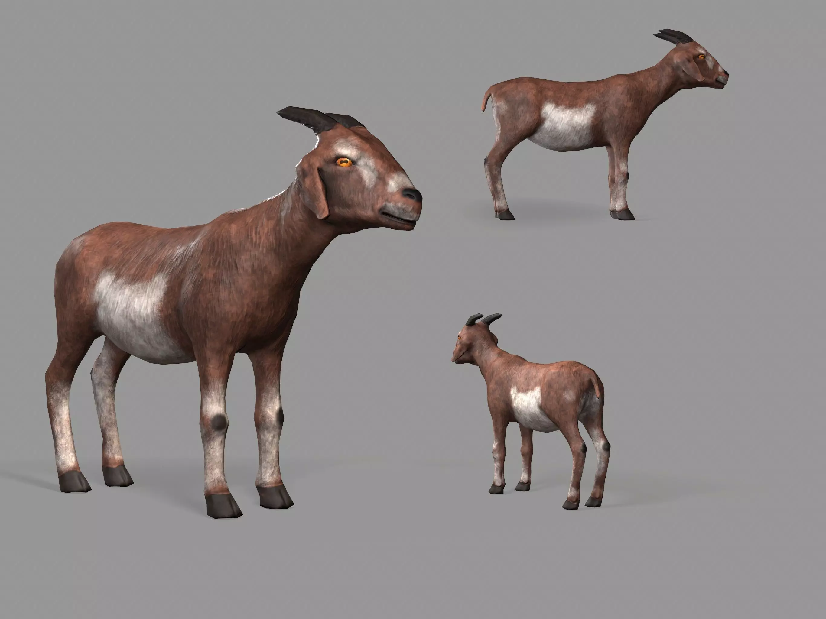 Goat Lowpoly horse Low-poly 3D model_0