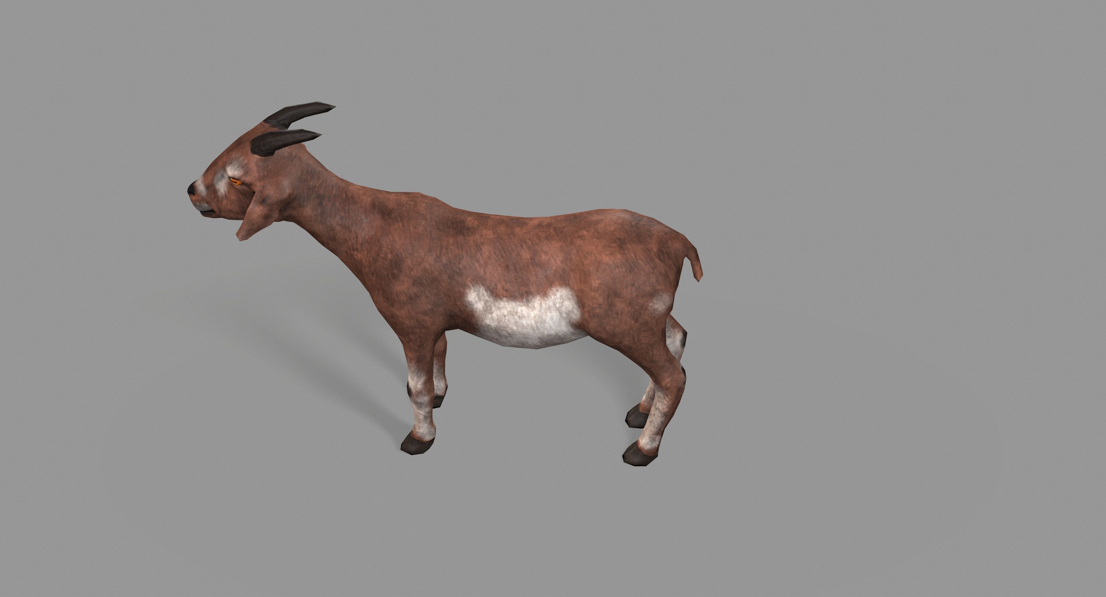Goat Lowpoly horse Low-poly 3D model_14