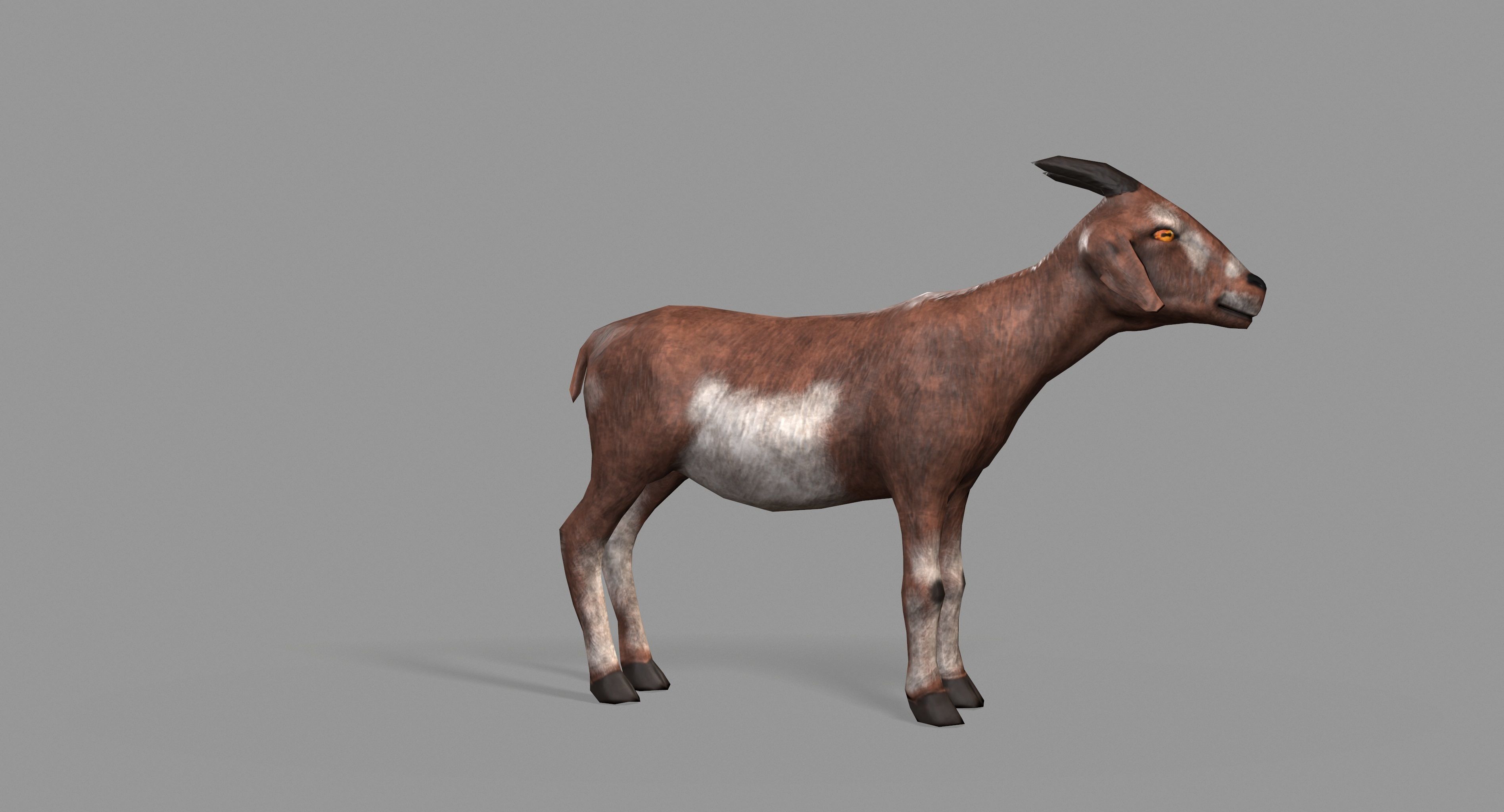 Goat Lowpoly horse Low-poly 3D model_7