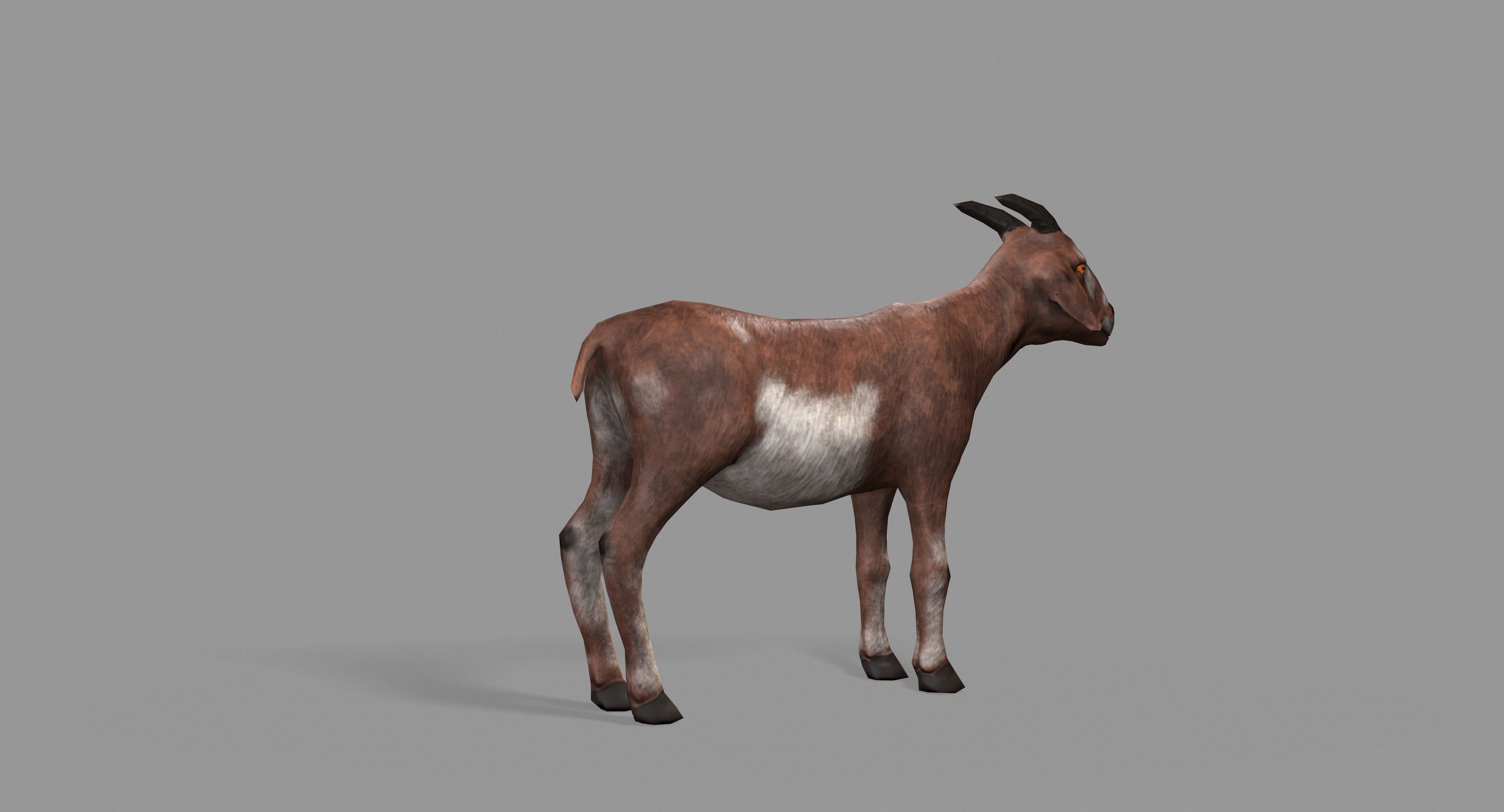 Goat Lowpoly horse Low-poly 3D model_3