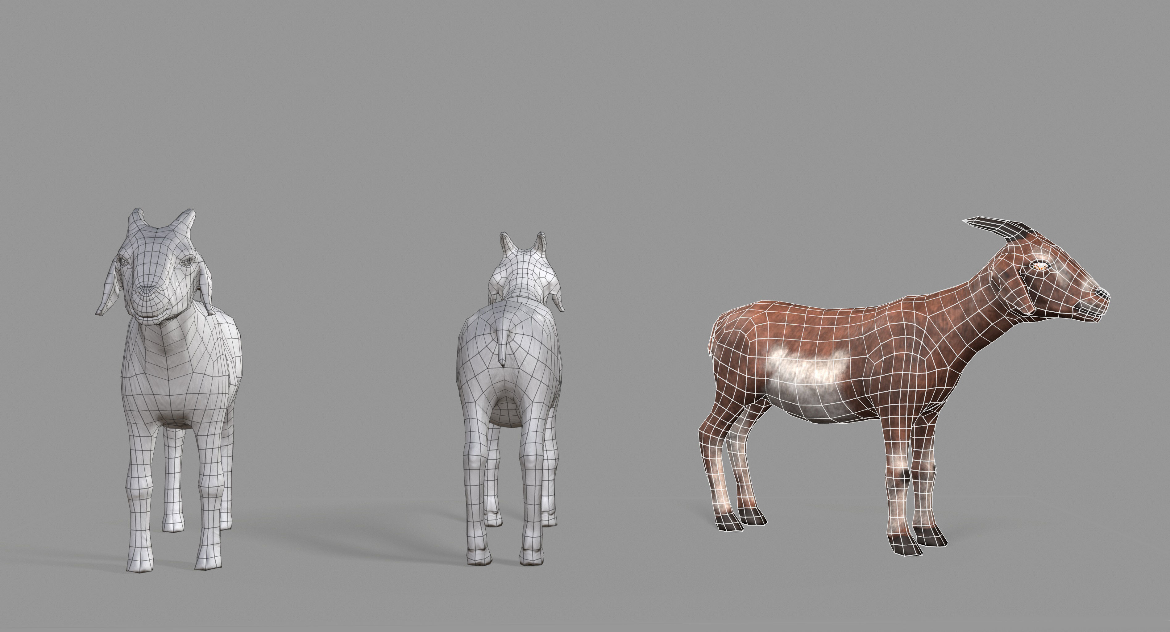 Goat Lowpoly horse Low-poly 3D model_43
