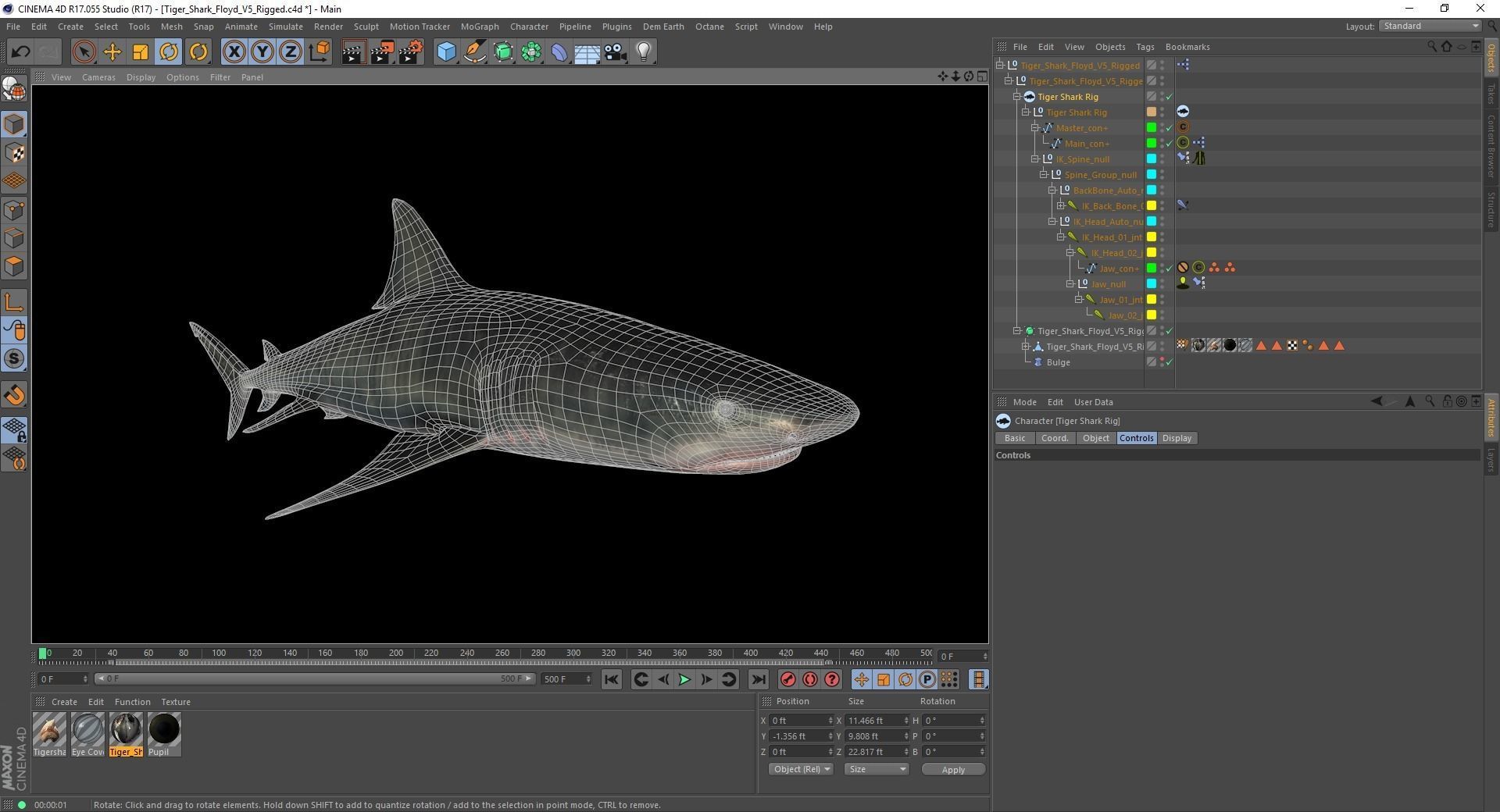 Tiger Shark Rigged C4D Low-poly 3D model_22
