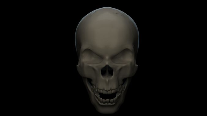 Human Skull  Low-poly 3D model