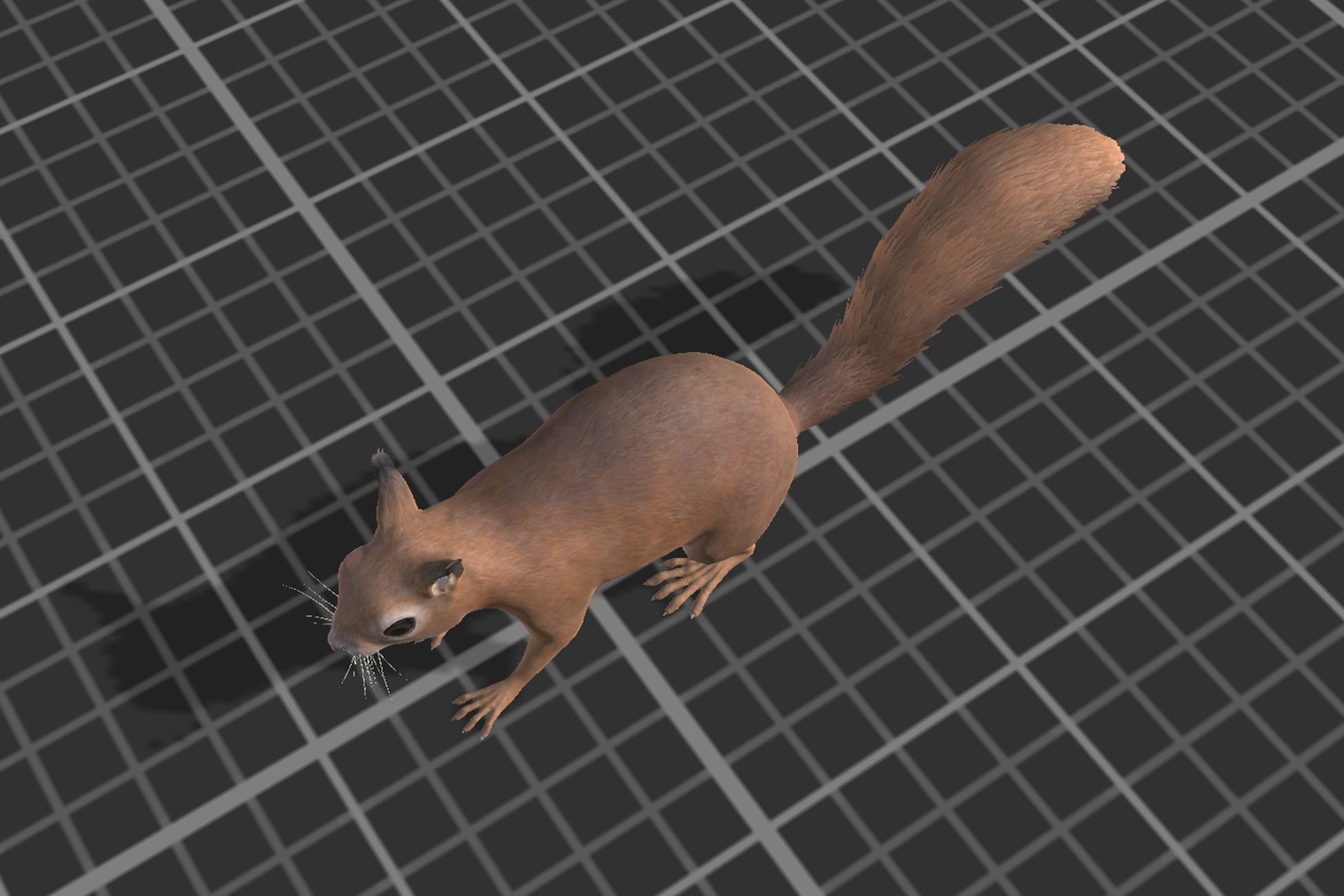 Squirrel Low-poly 3D model_6