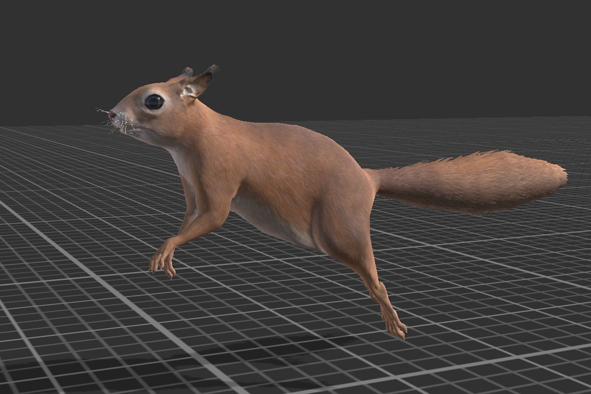 Squirrel Low-poly 3D model_12
