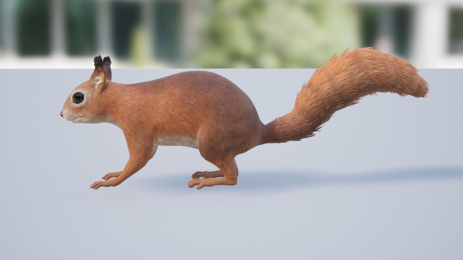 Squirrel Low-poly 3D model_3