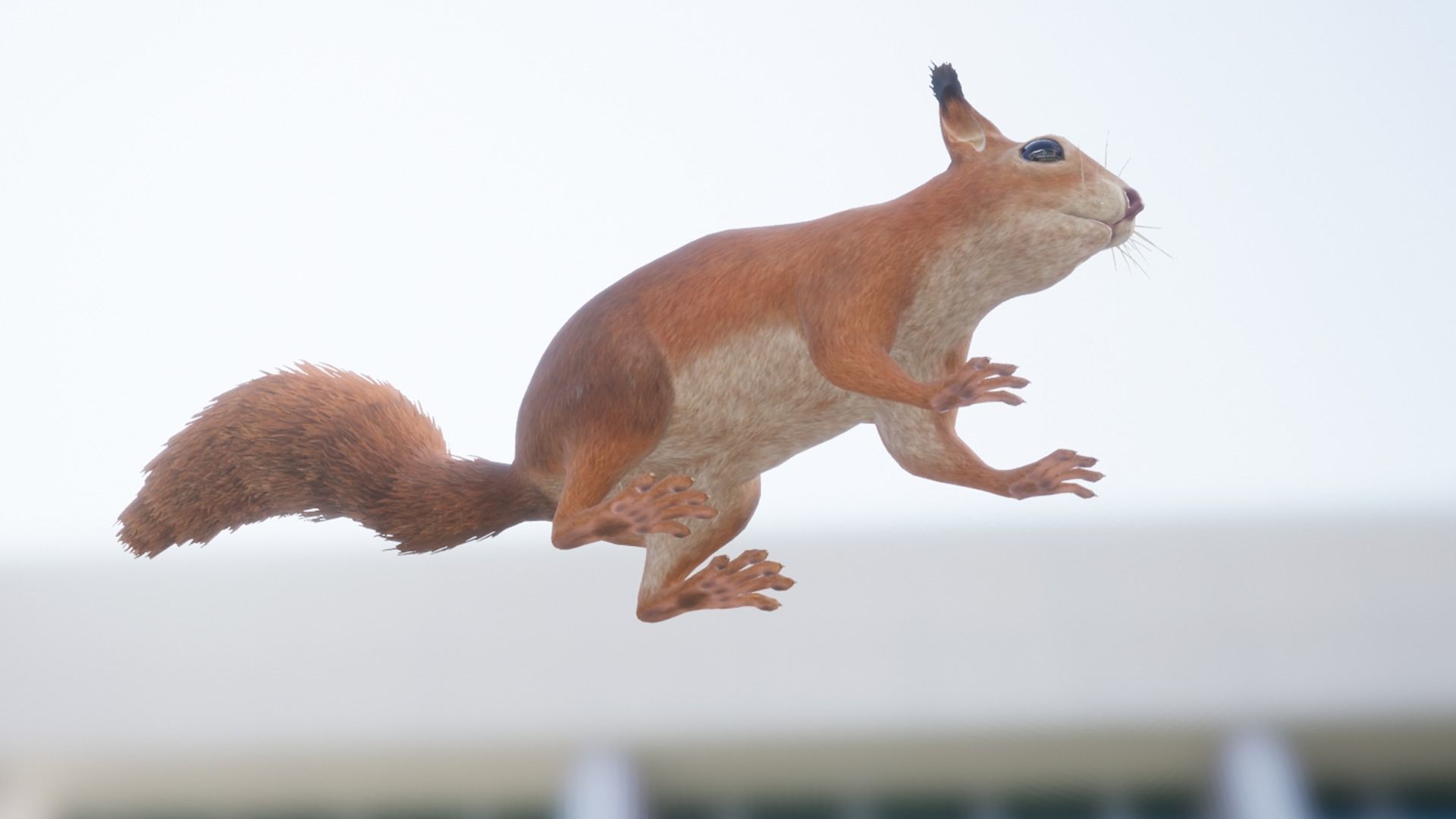 Squirrel Low-poly 3D model_9