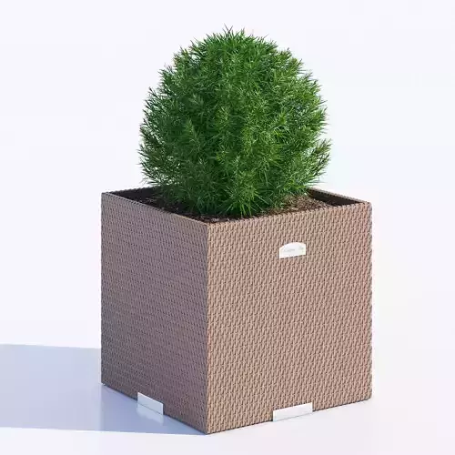 Polyrattan planter 3