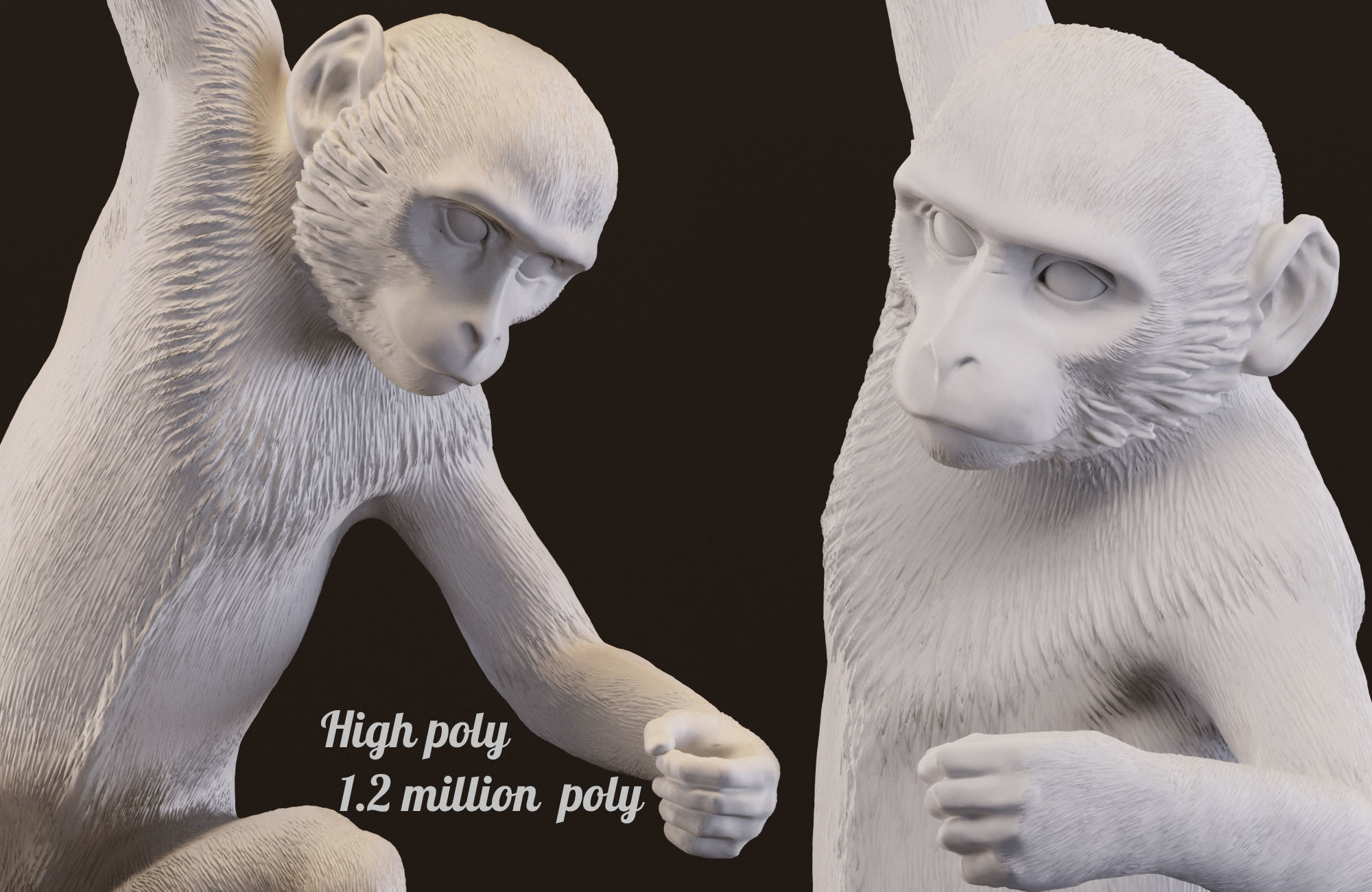 The Monkey Lamp Ceiling  Version by Seletti Low-poly 3D model_7