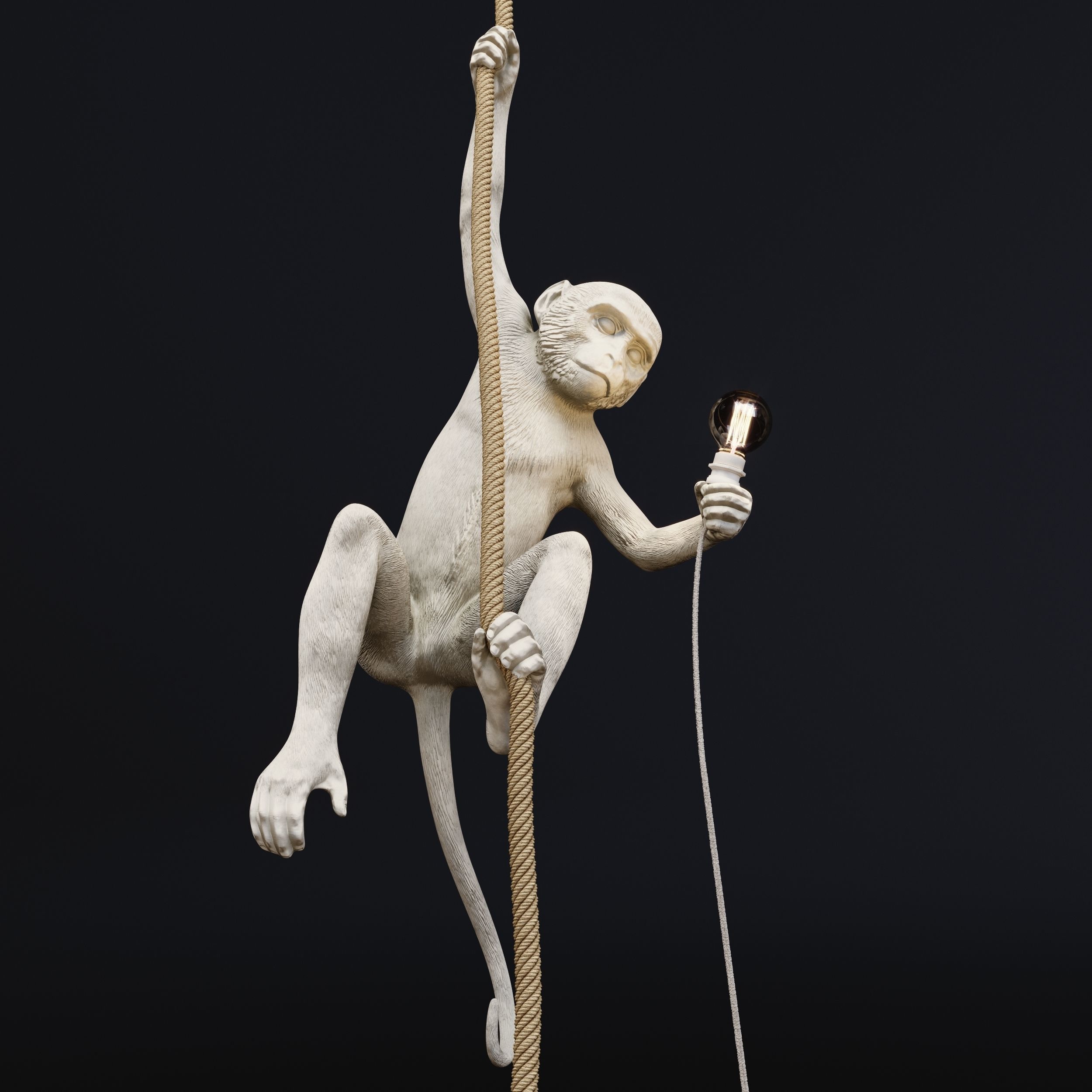 The Monkey Lamp Ceiling  Version by Seletti Low-poly 3D model_3