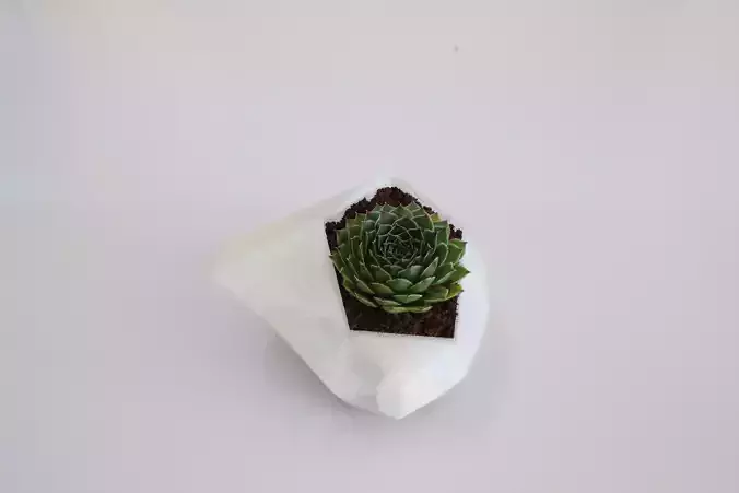 Flower pot Free 3D print model